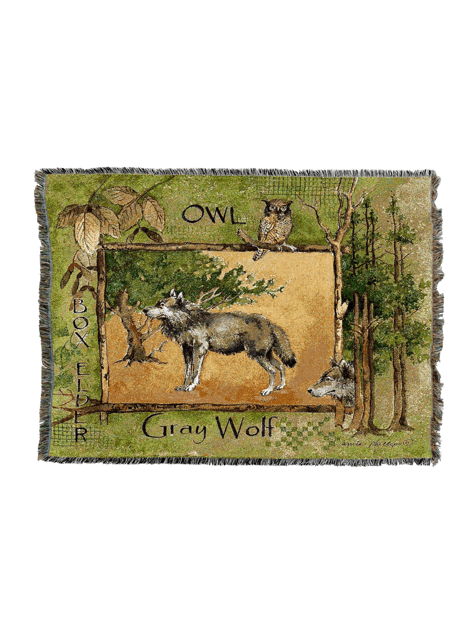 2317-T_51d60547-2eb6-4290-9efc-b810d072efbf_2048x2048.png.webp