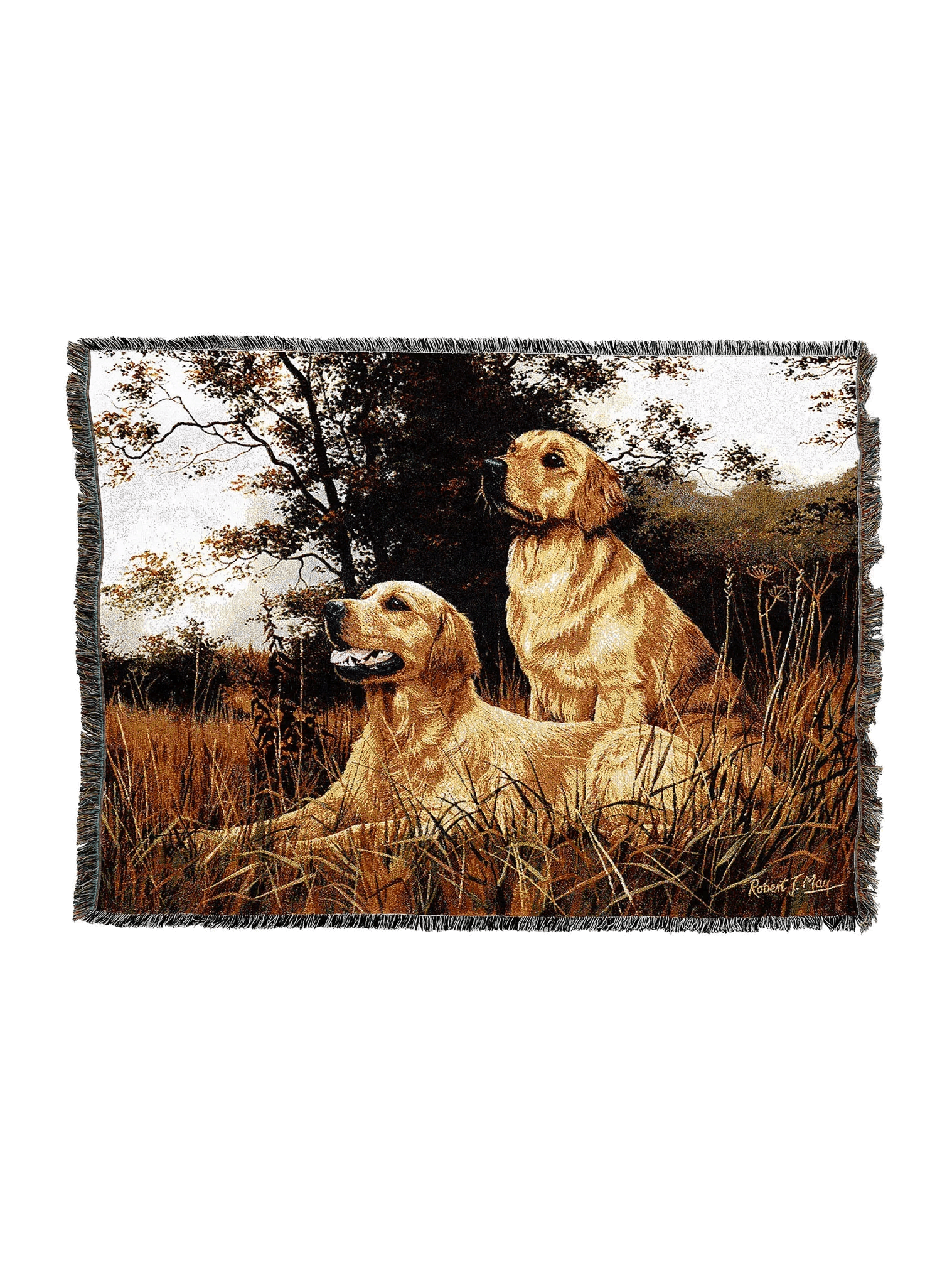 1128-T_2048x2048.png.webp