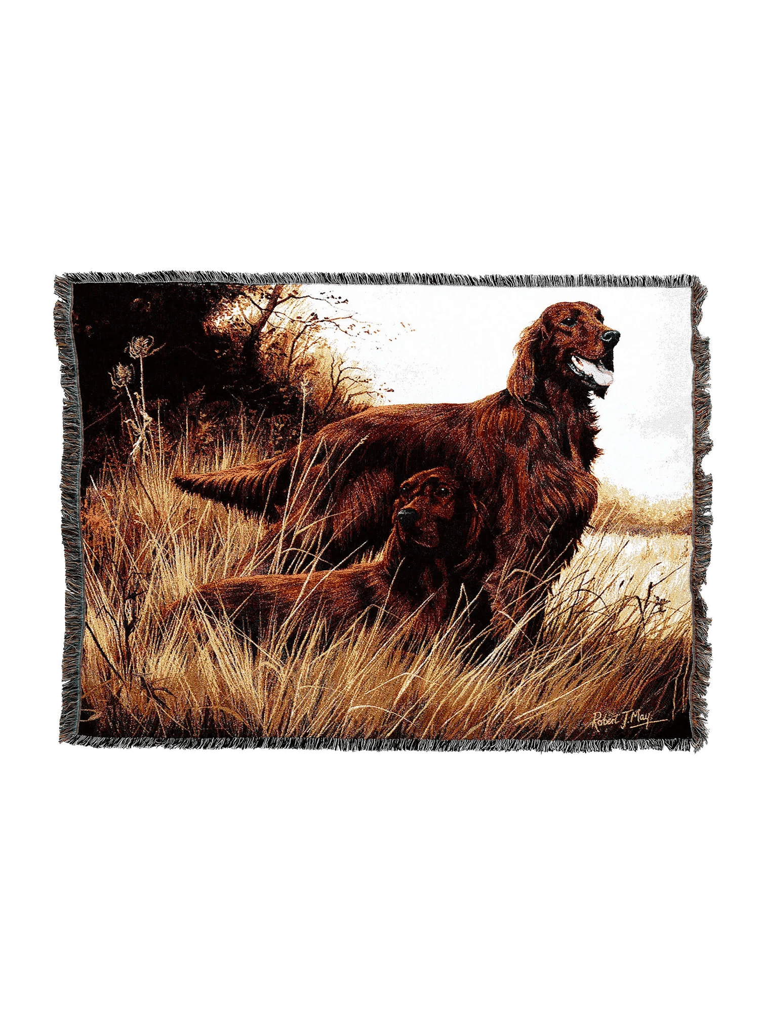 1140-T_9949af81-607c-4f03-b04e-dc29fb664690_2048x2048.png.webp