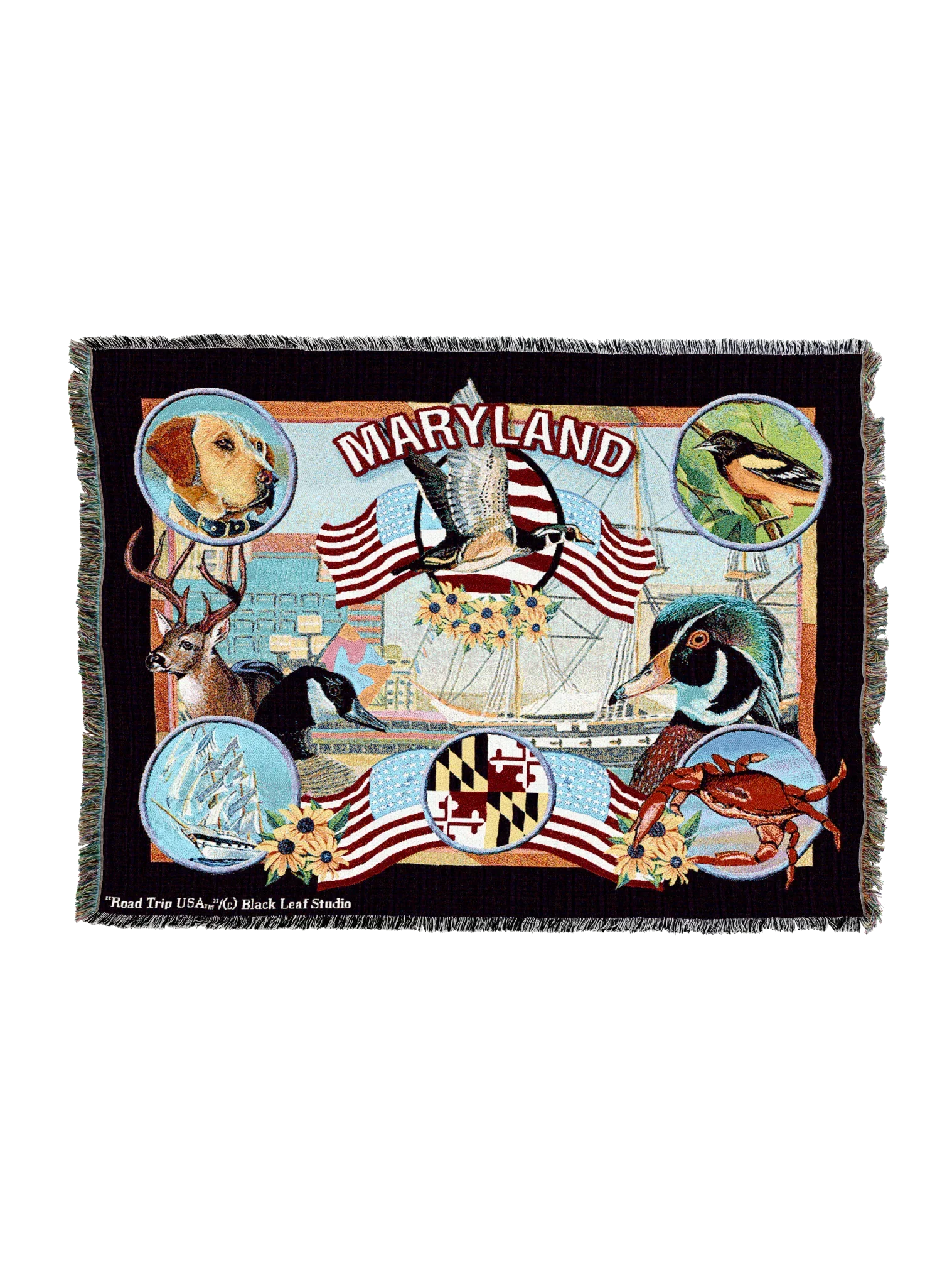 4324-T_2048x2048.png.webp