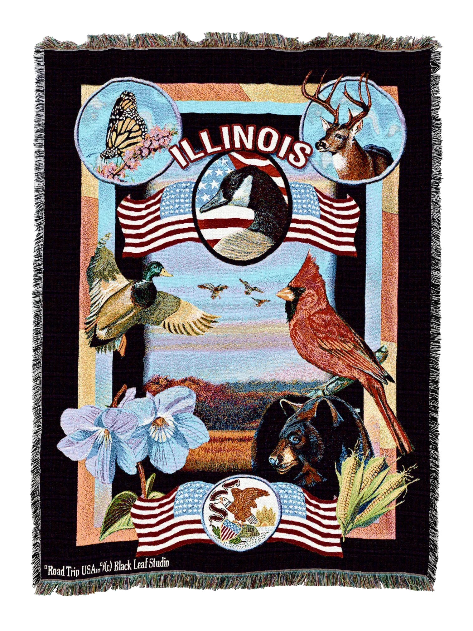 All 50 States Theme Designs