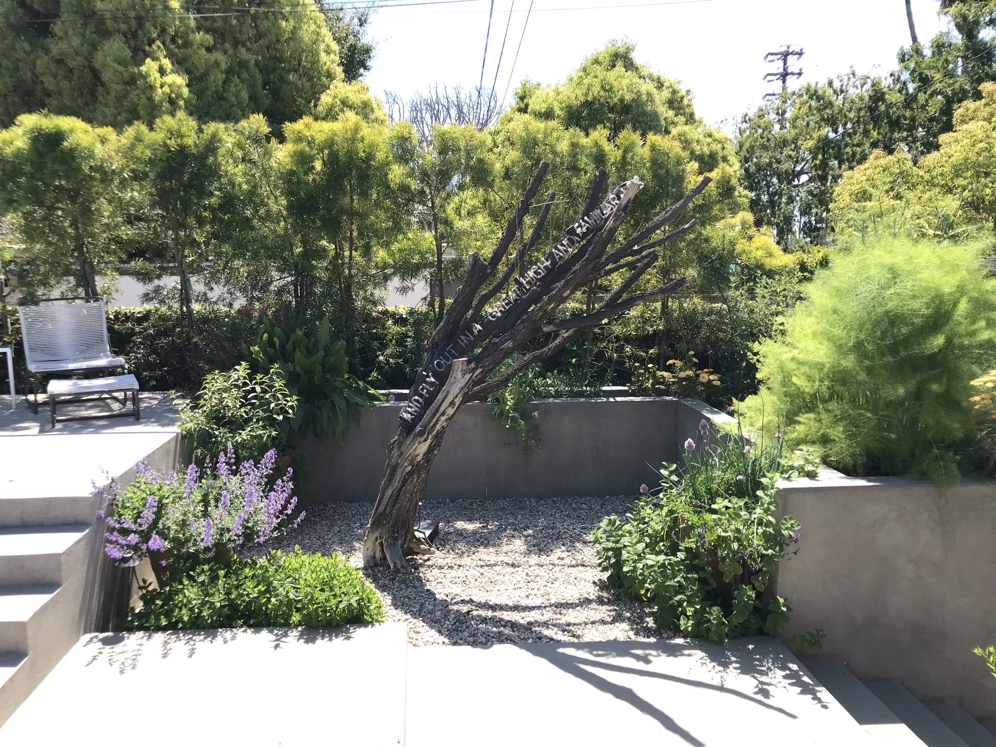 IMG_5160.JPEG