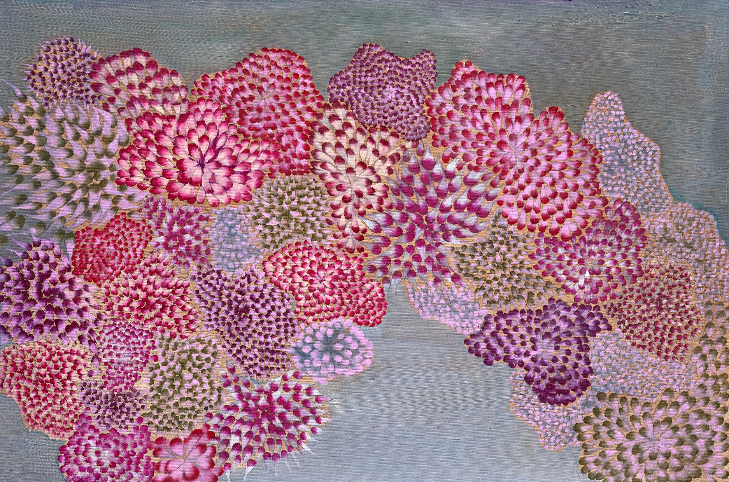 Rooted in Wonder.jpg