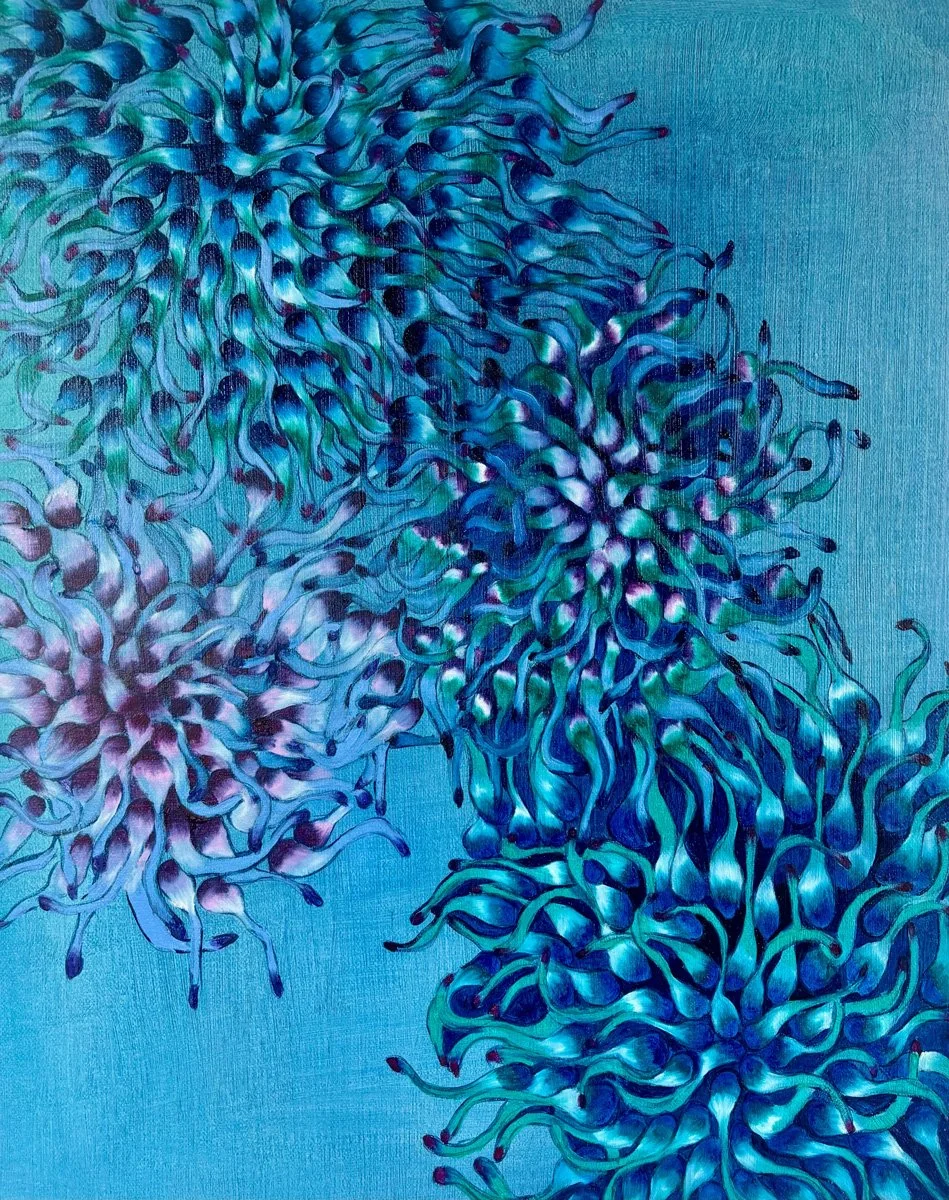 Blue anemones.jpg