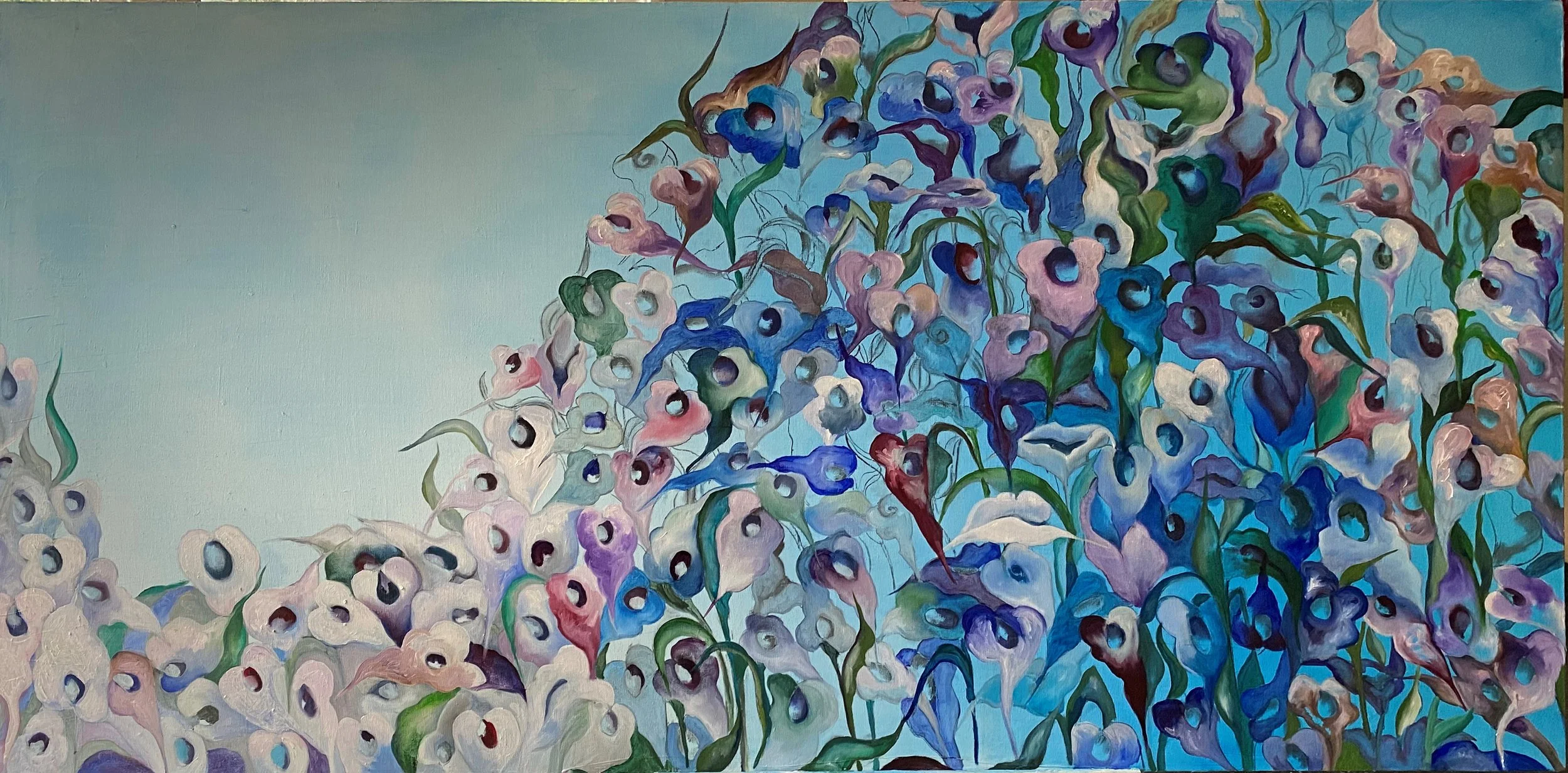 The secret wonder.jpg