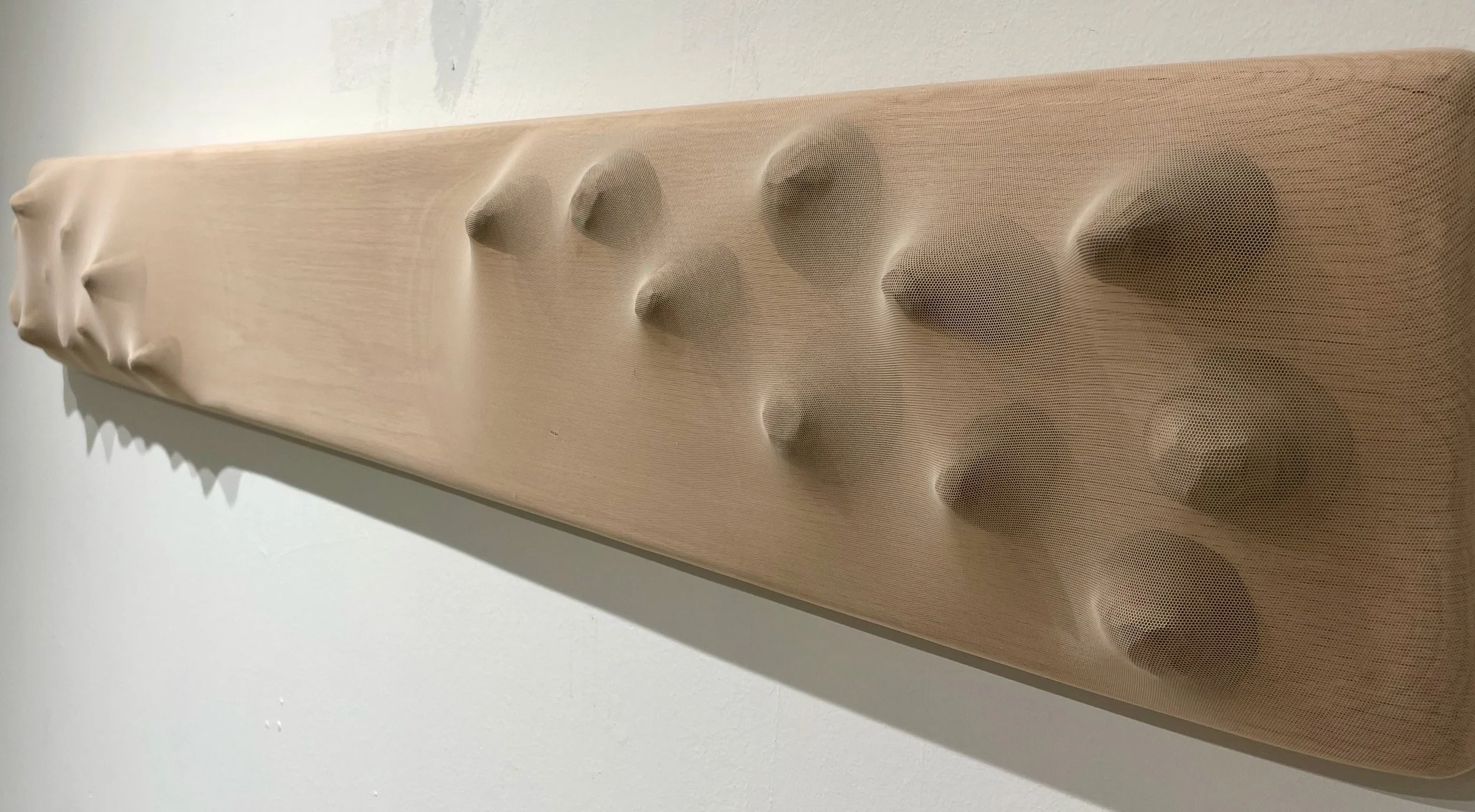 Pimpled Wood
Nylon spandex on red oak and walnut
12" x 48"
2025
