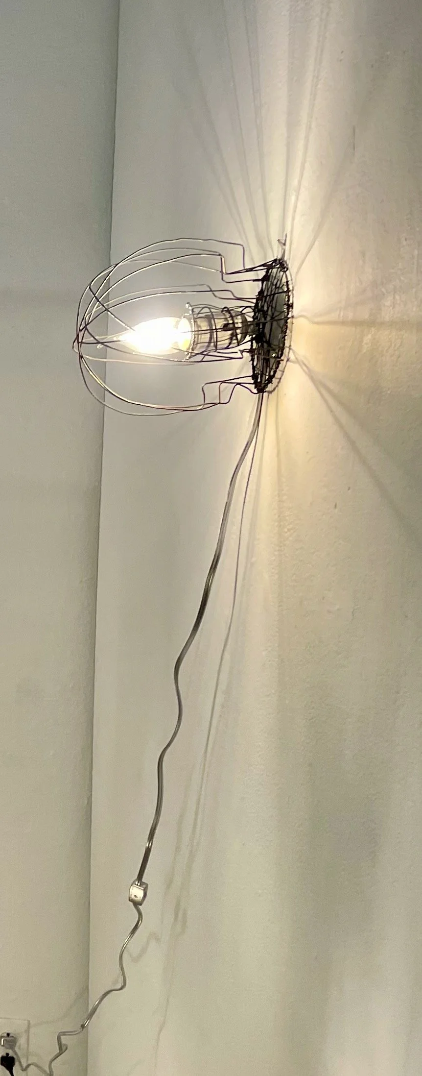 Wire
8 x 5 x 6 in
2025