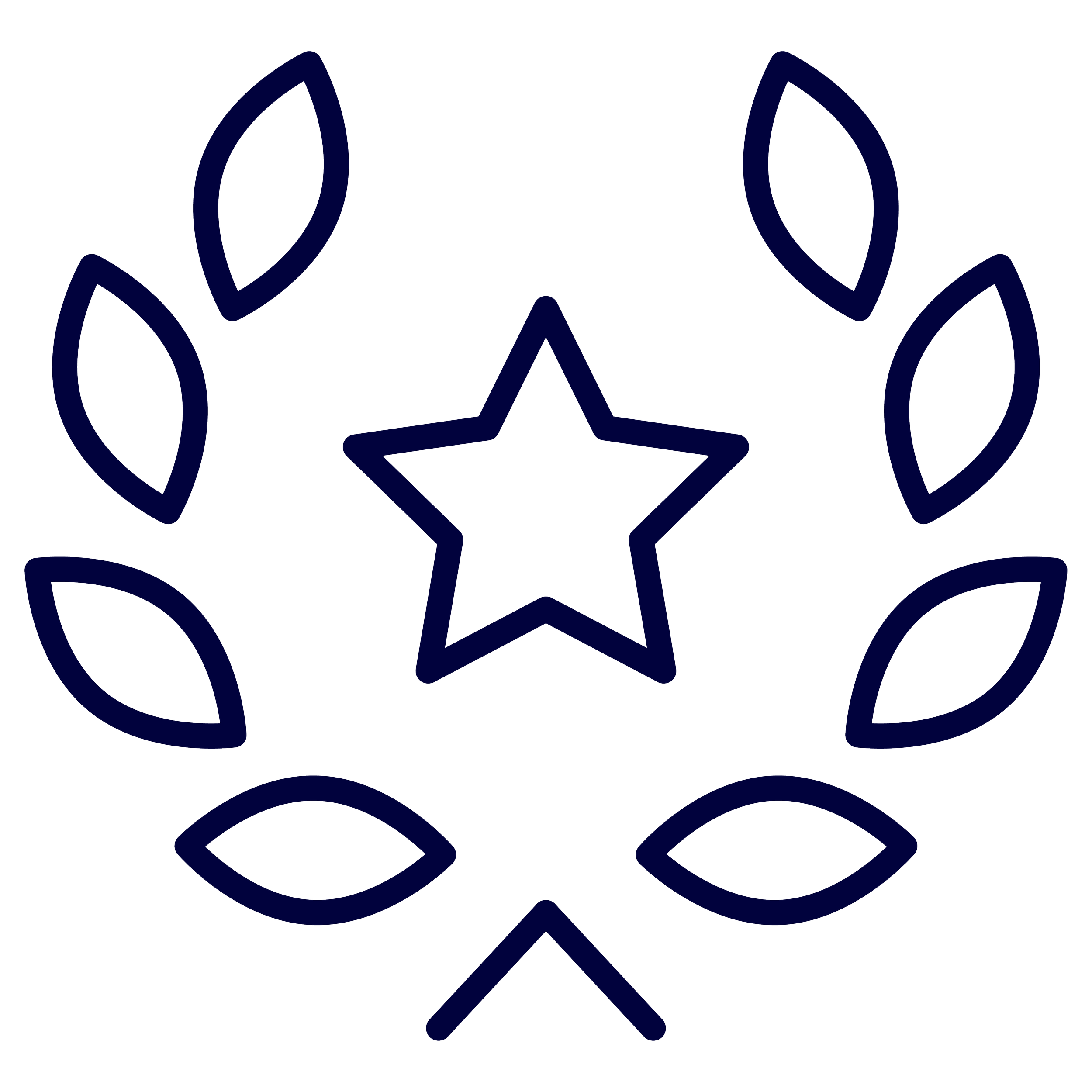 Outline of a star in the center, surrounded by a laurel wreath.