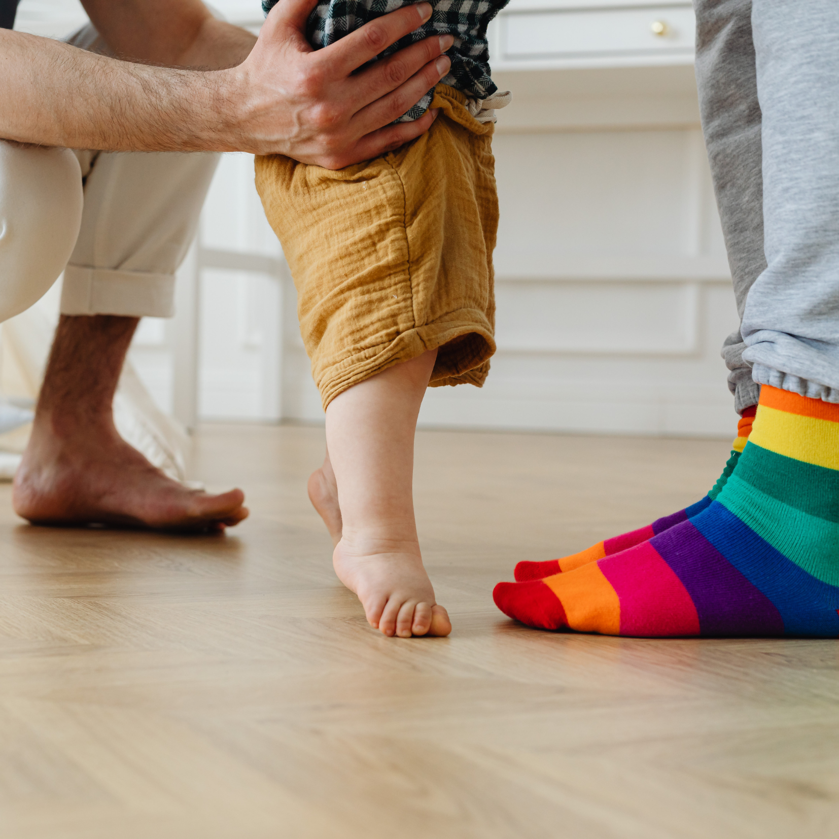 Famílias e suas várias dinâmicas