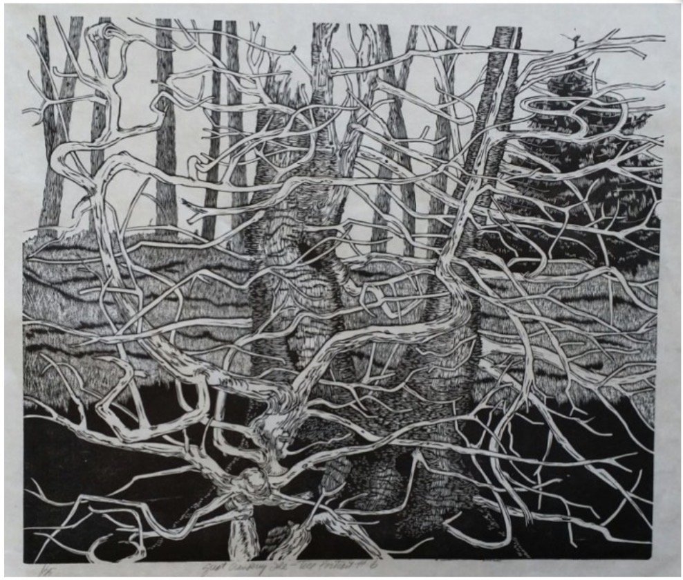 The Art of Woodcuts w. Gene Shaw