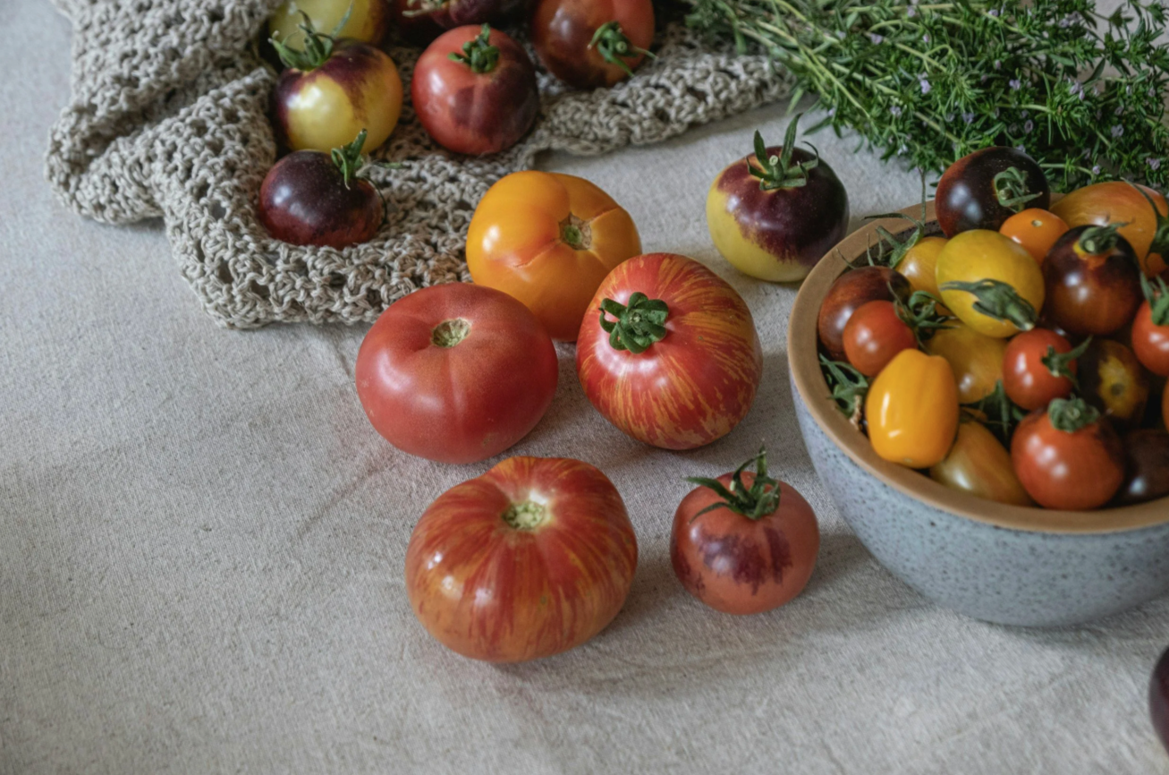 Screenshot 2026-02-13 at 12.28.01 PM.png