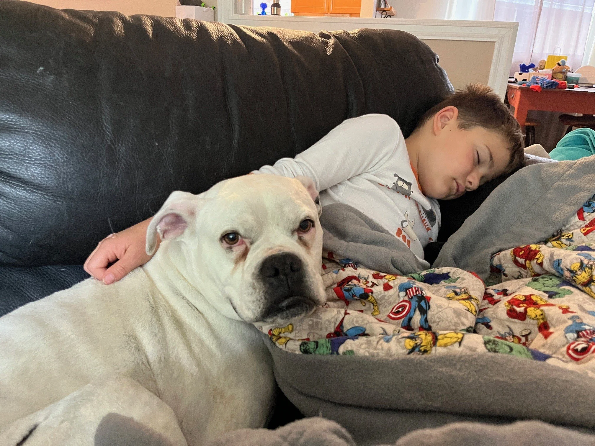Jude & Mr. Pickles.jpg