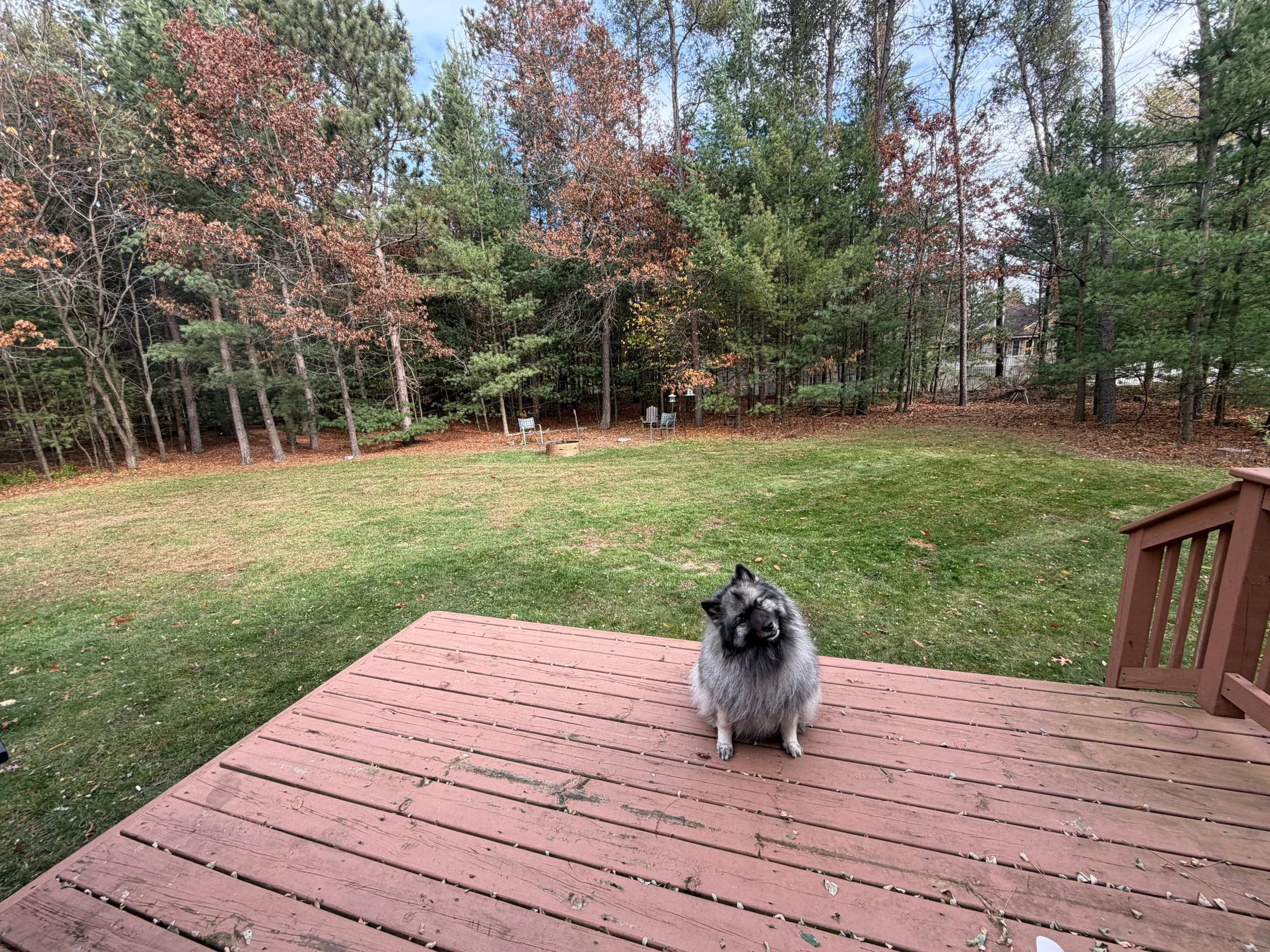 Photo Nov 02 2025, 1 06 50 PM.jpg