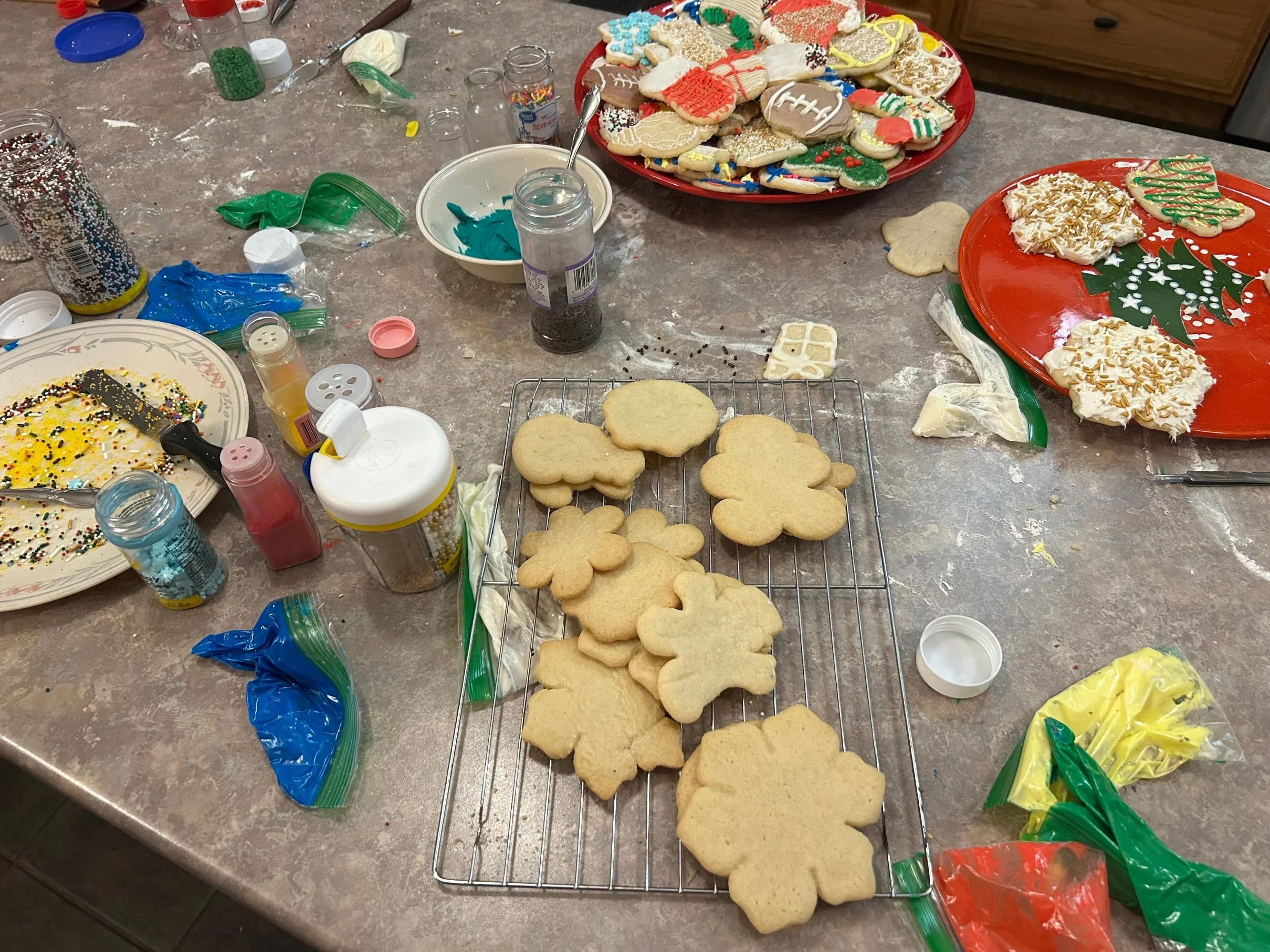 Photo Dec 24 2024, 4 23 50 PM.jpg