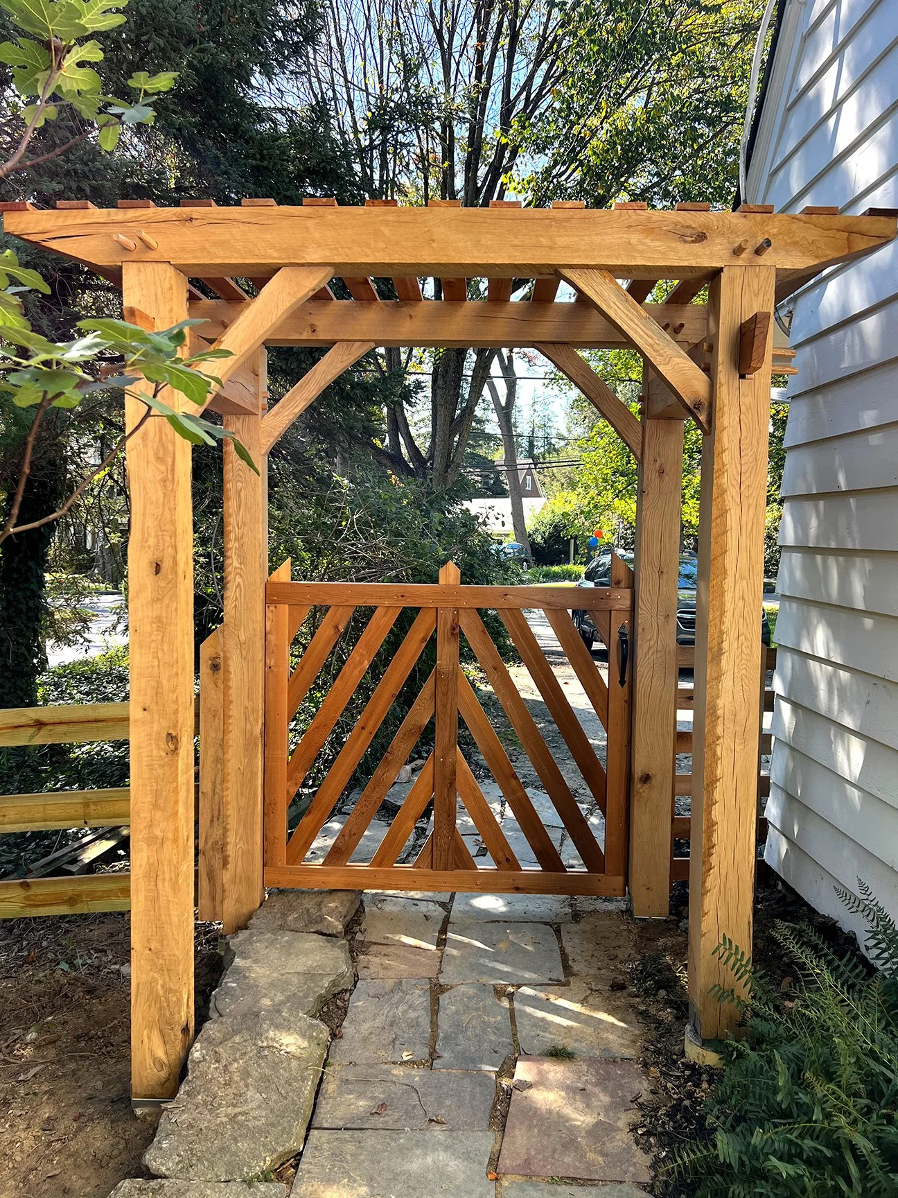 arborback copy_s.jpg