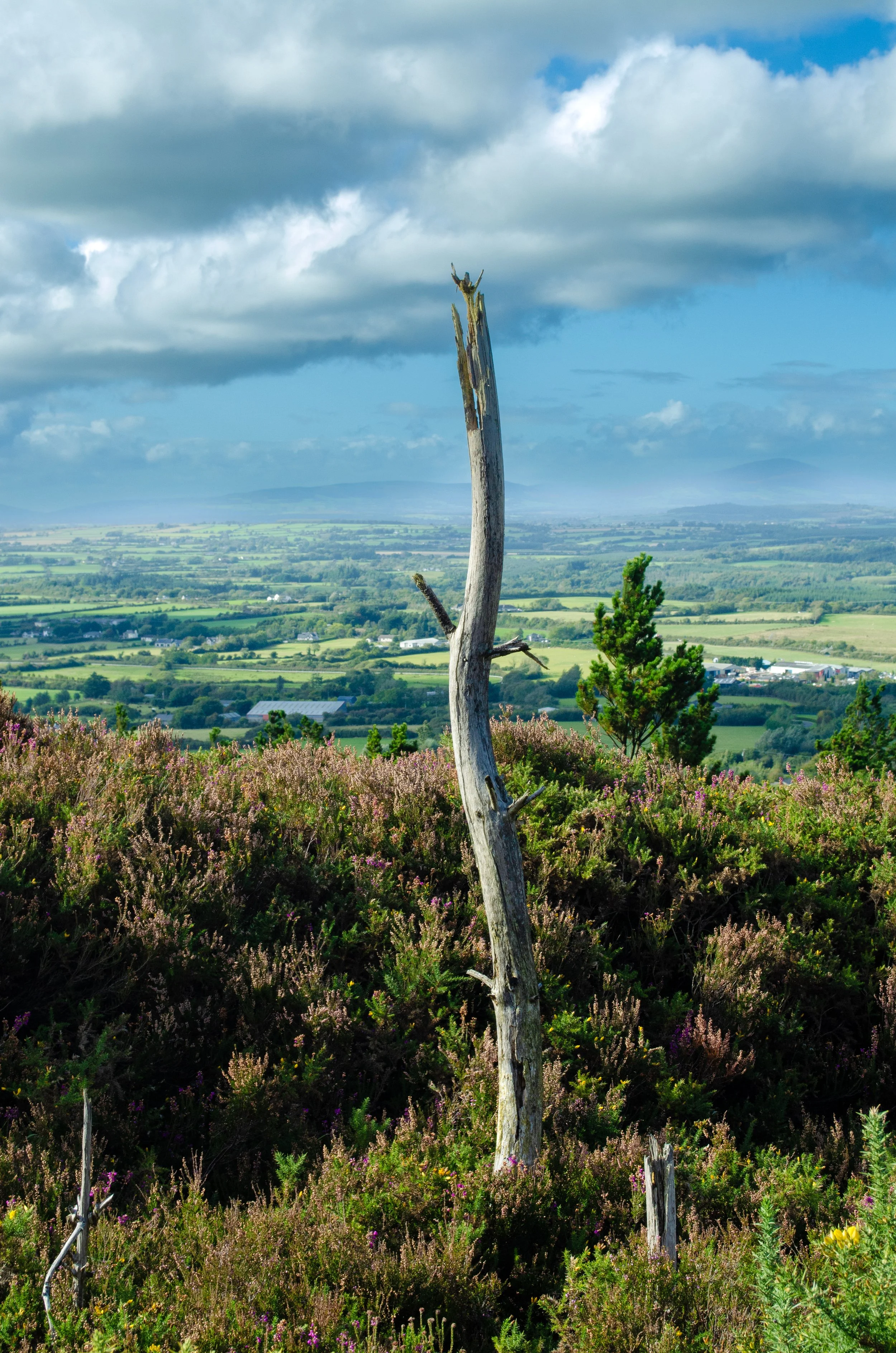 DSC_0053 (2025-09-21T15_47_10.075).jpg