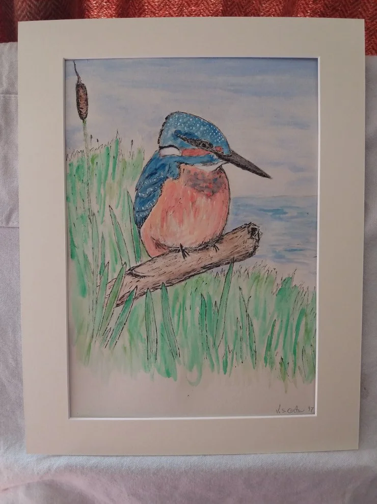 Kingfisher.jpg