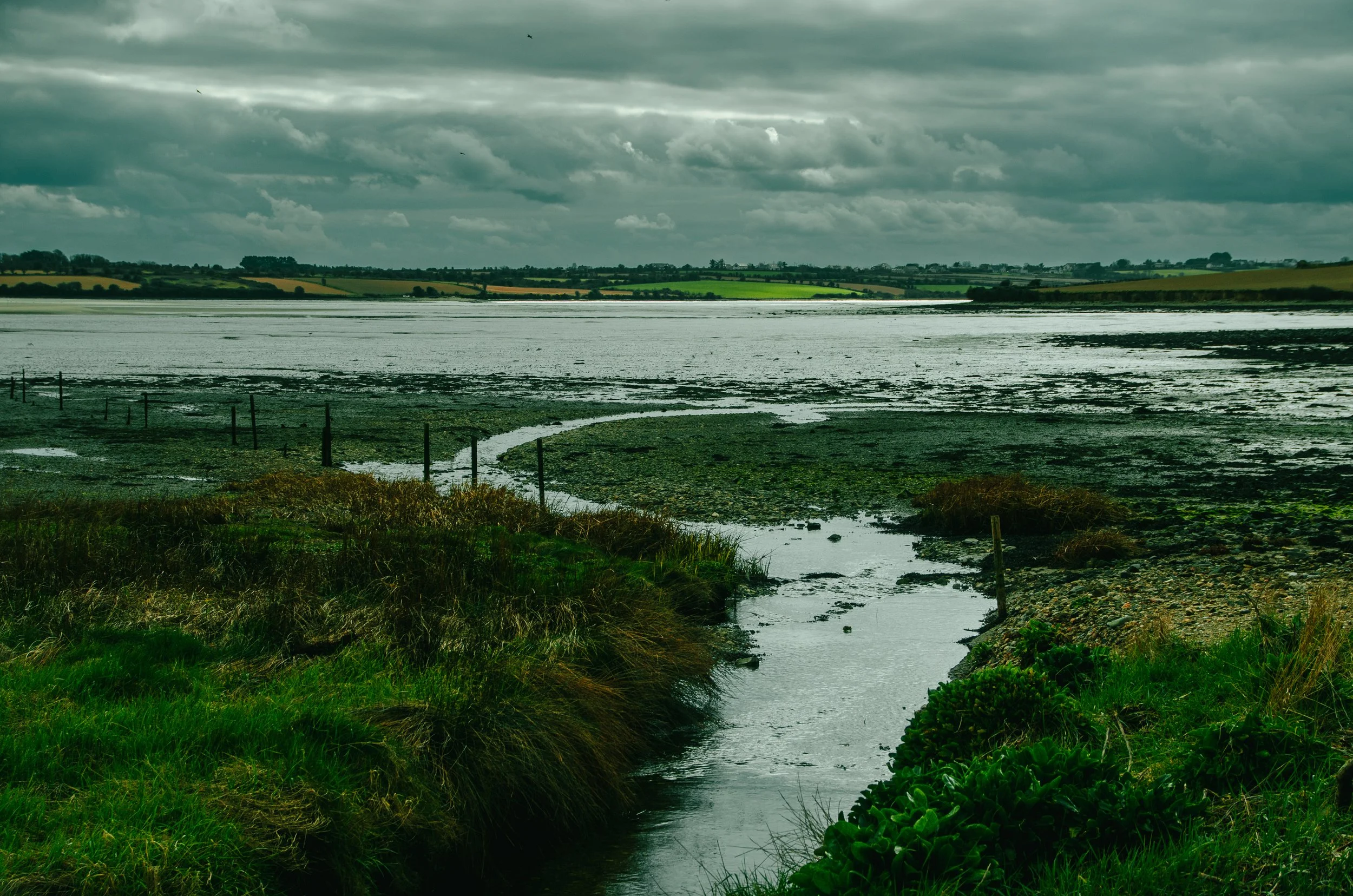 DSC_0042 (2025-03-18T21_05_57.035).jpg