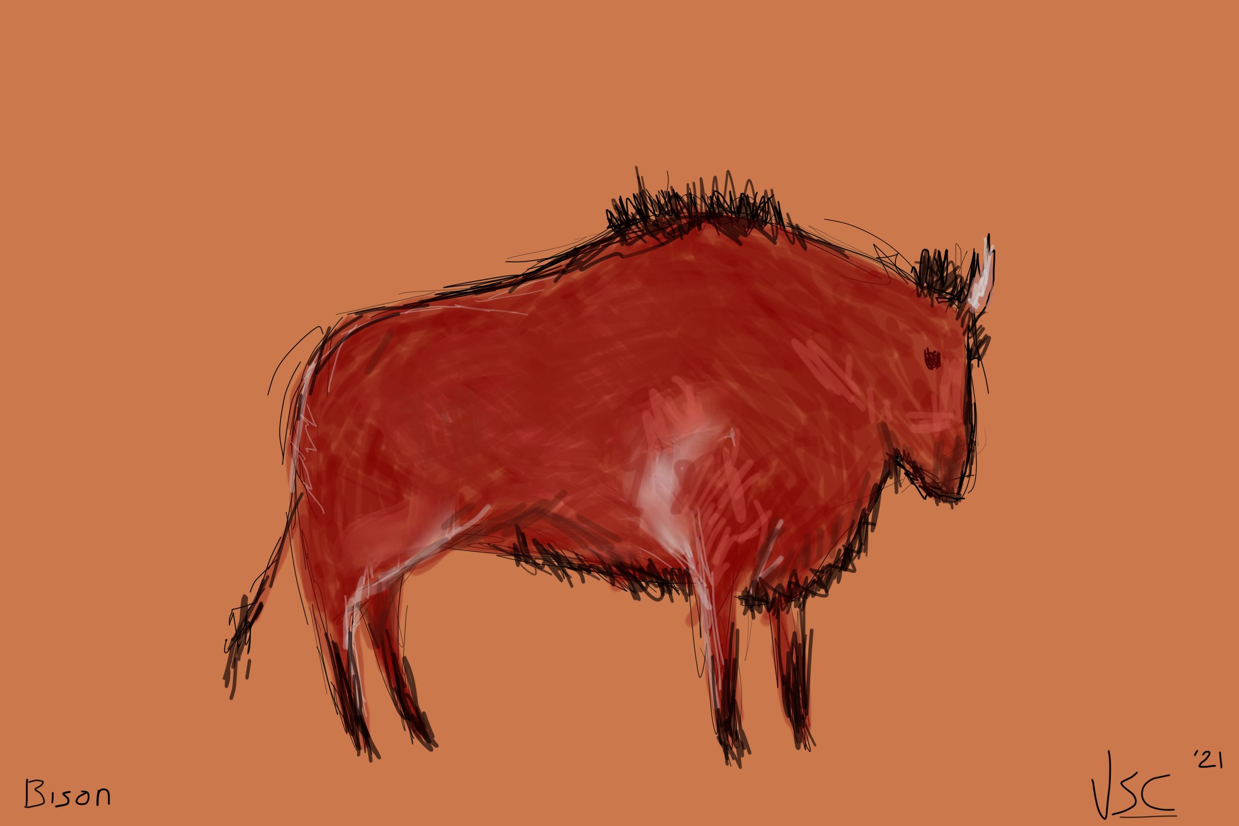 Bison.jpg