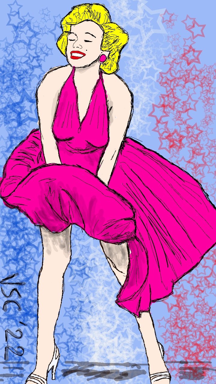 Merica No.5_ L.A. Woman .jpg