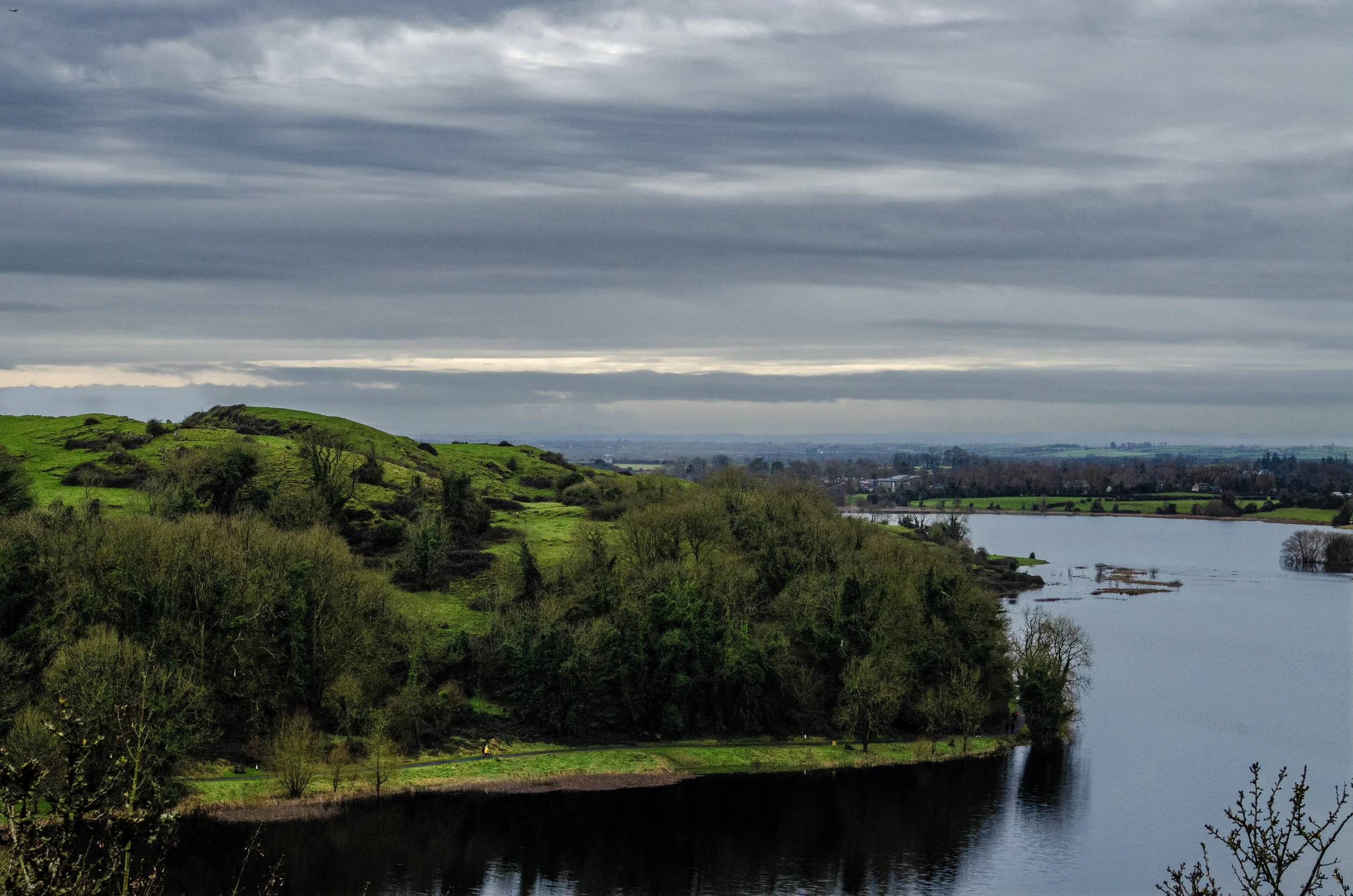 _DSC0074 (2026-01-11T17_24_28.jpg