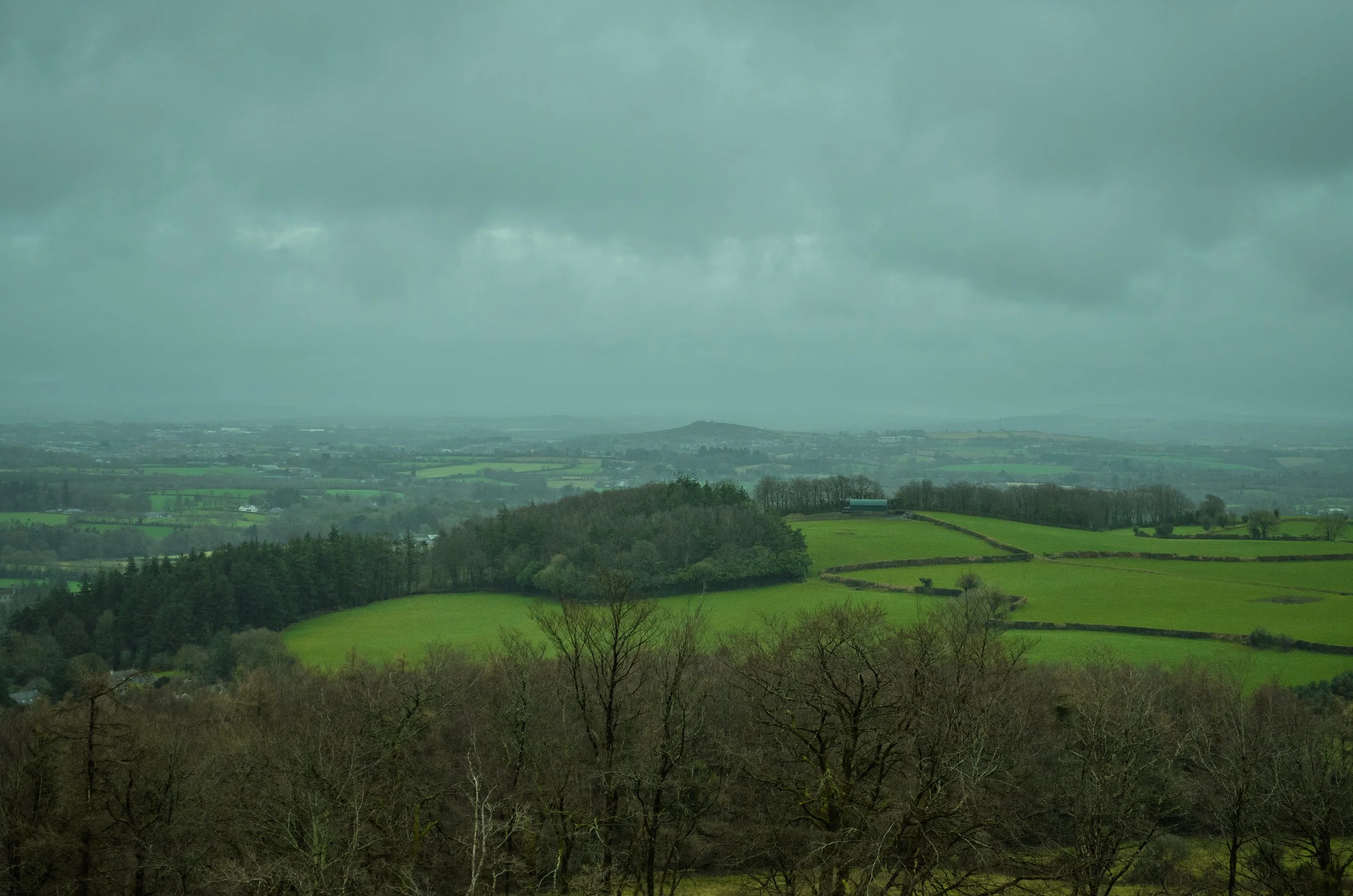 DSC_0062 (2025-02-21T20_18_07.567).jpg