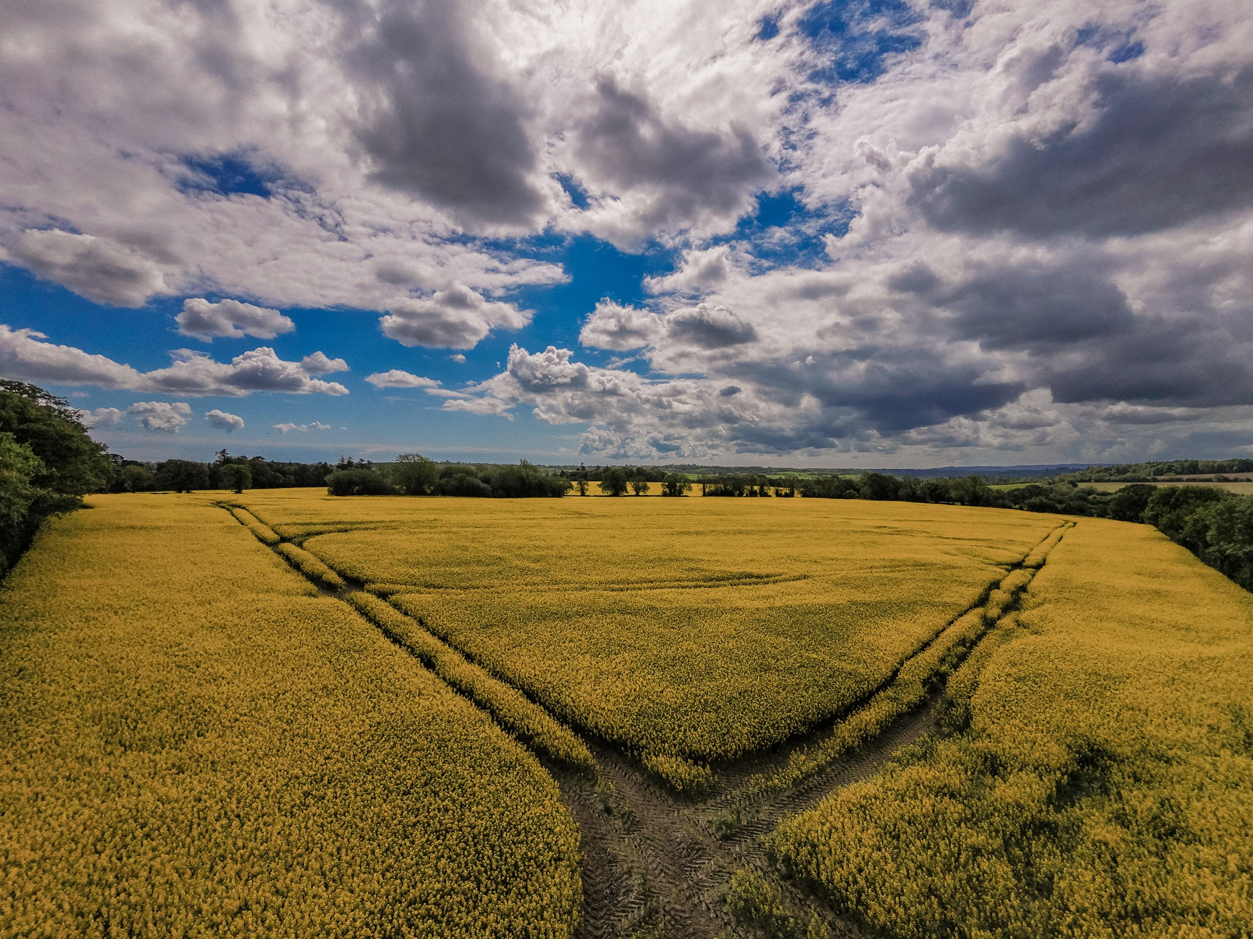95-dji_fly_20260507_114056_0019_1778151744331_photo.jpg