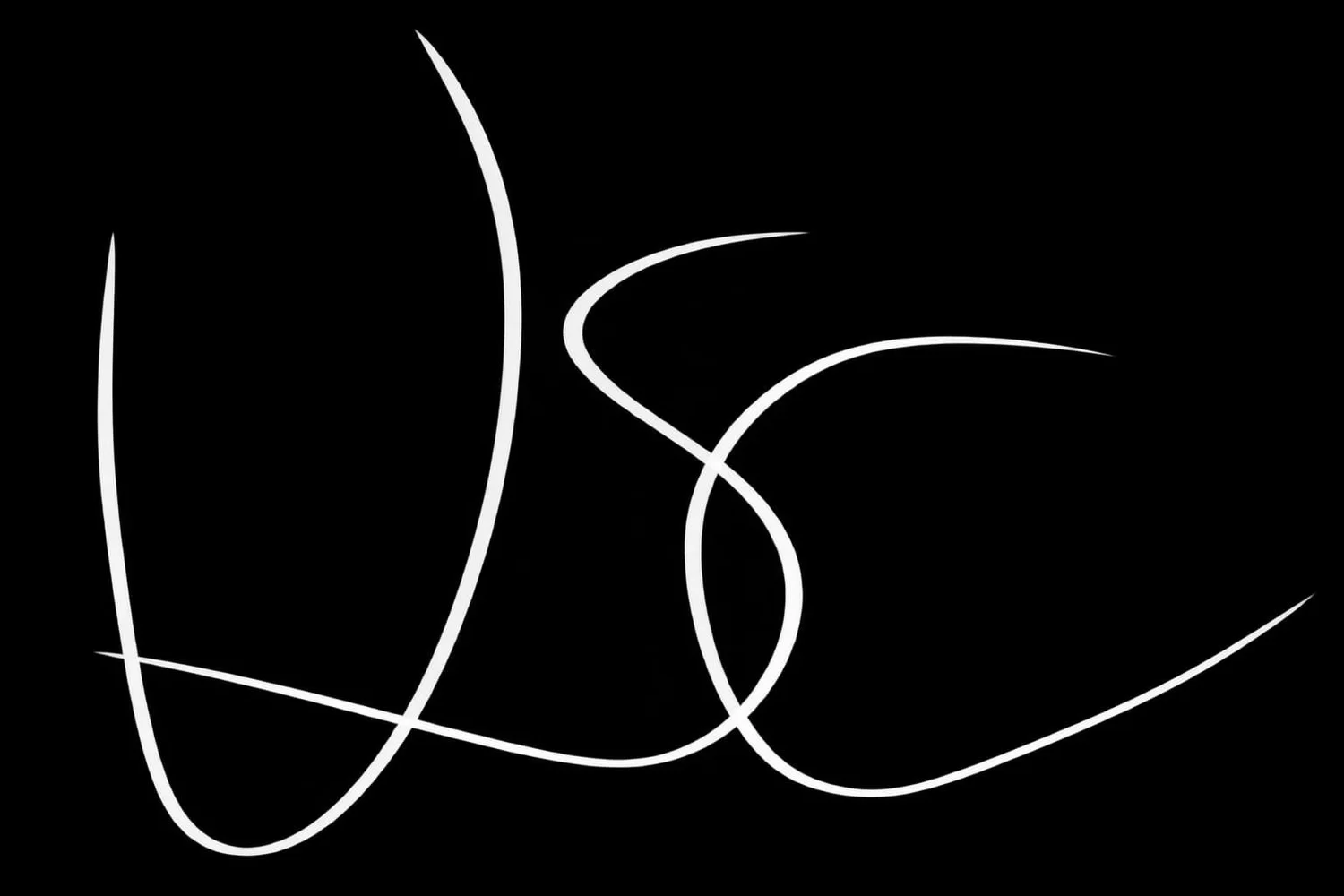 Vincent S. Coster: Photographer