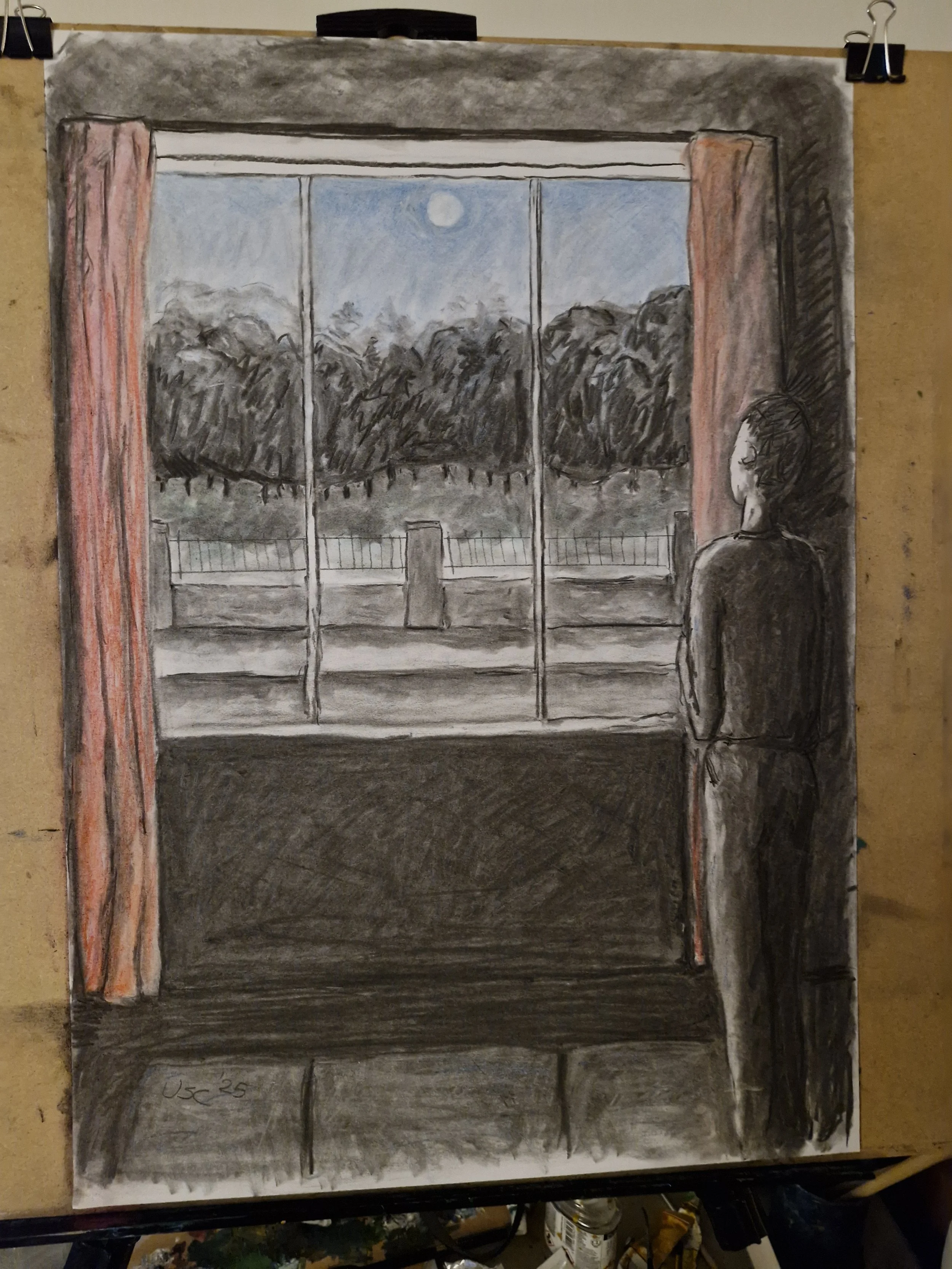 Moonlight over the park.jpg