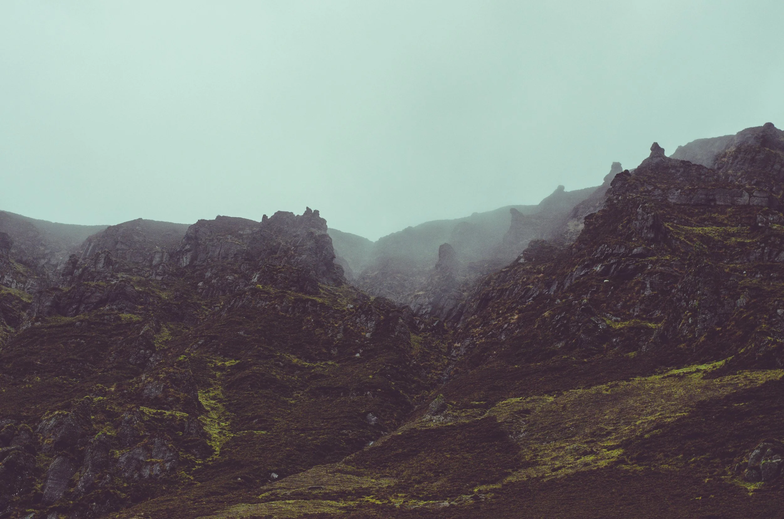 DSC_0010 (1) (2025-02-04T09_26_27.115).jpg