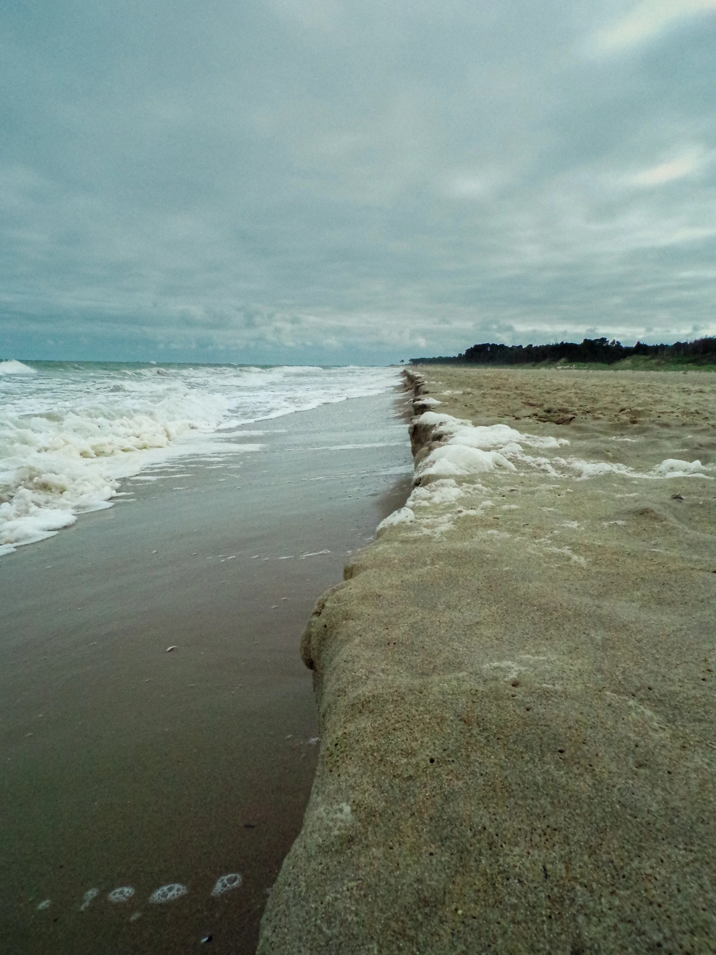 100_0151 (2025-08-20T19_07_52.907).jpg