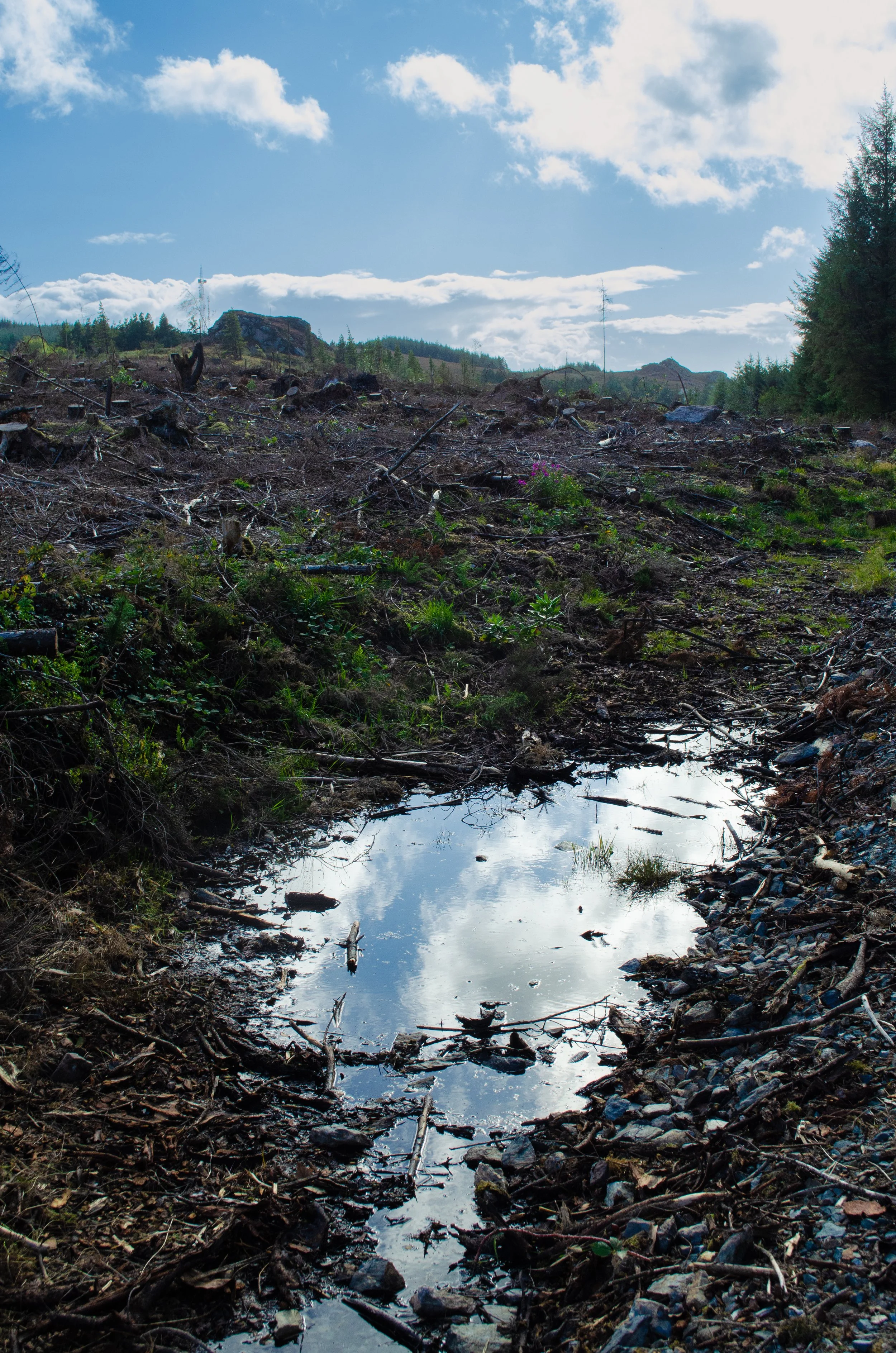 DSC_0067 (2025-09-17T17_41_34.418).jpg