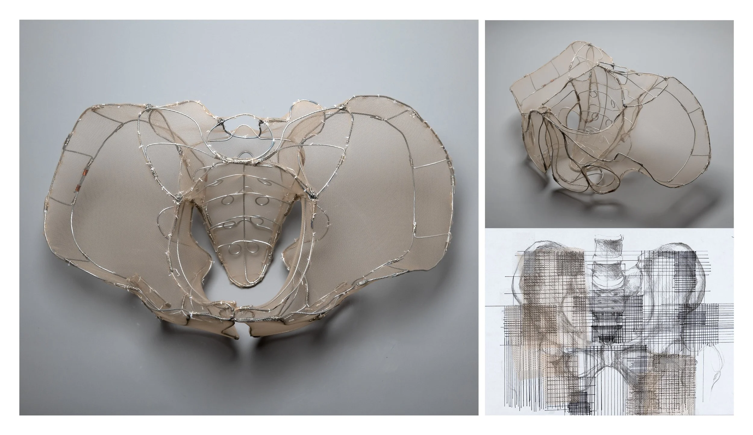 Pelvis, wire, tulle fabric, white thread, 8.5 x 17 x 6.5”, 2025