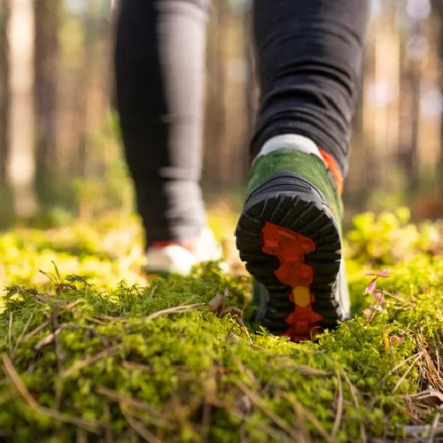 Close-up of a person walking on a mossy forest trail, showing the back of their hiking shoe and lower leg.