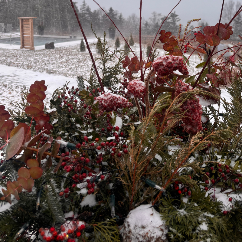 t'was the night before.png