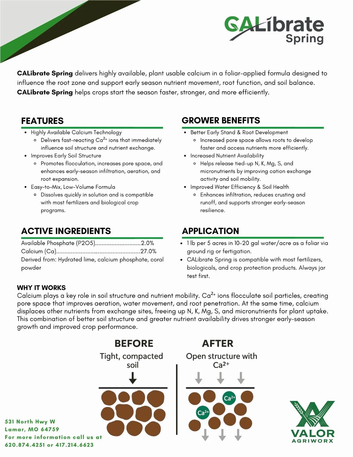 CALibrate Spring.jpeg