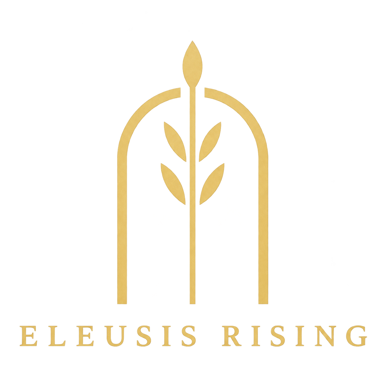 Eleusis Rising Men’s Coaching