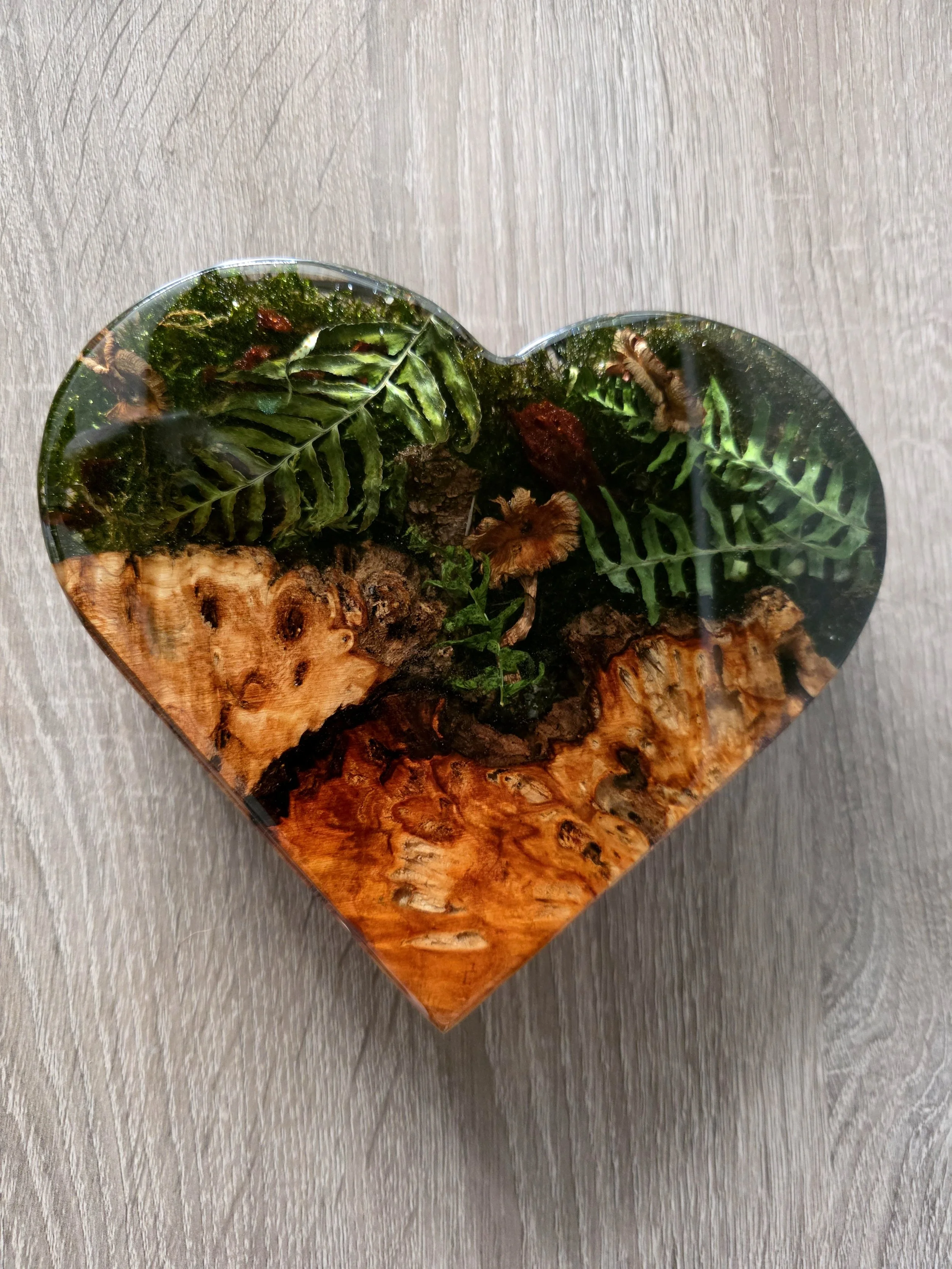 Resin Heart Moss art with real ferns and mushrooms with live edge wood