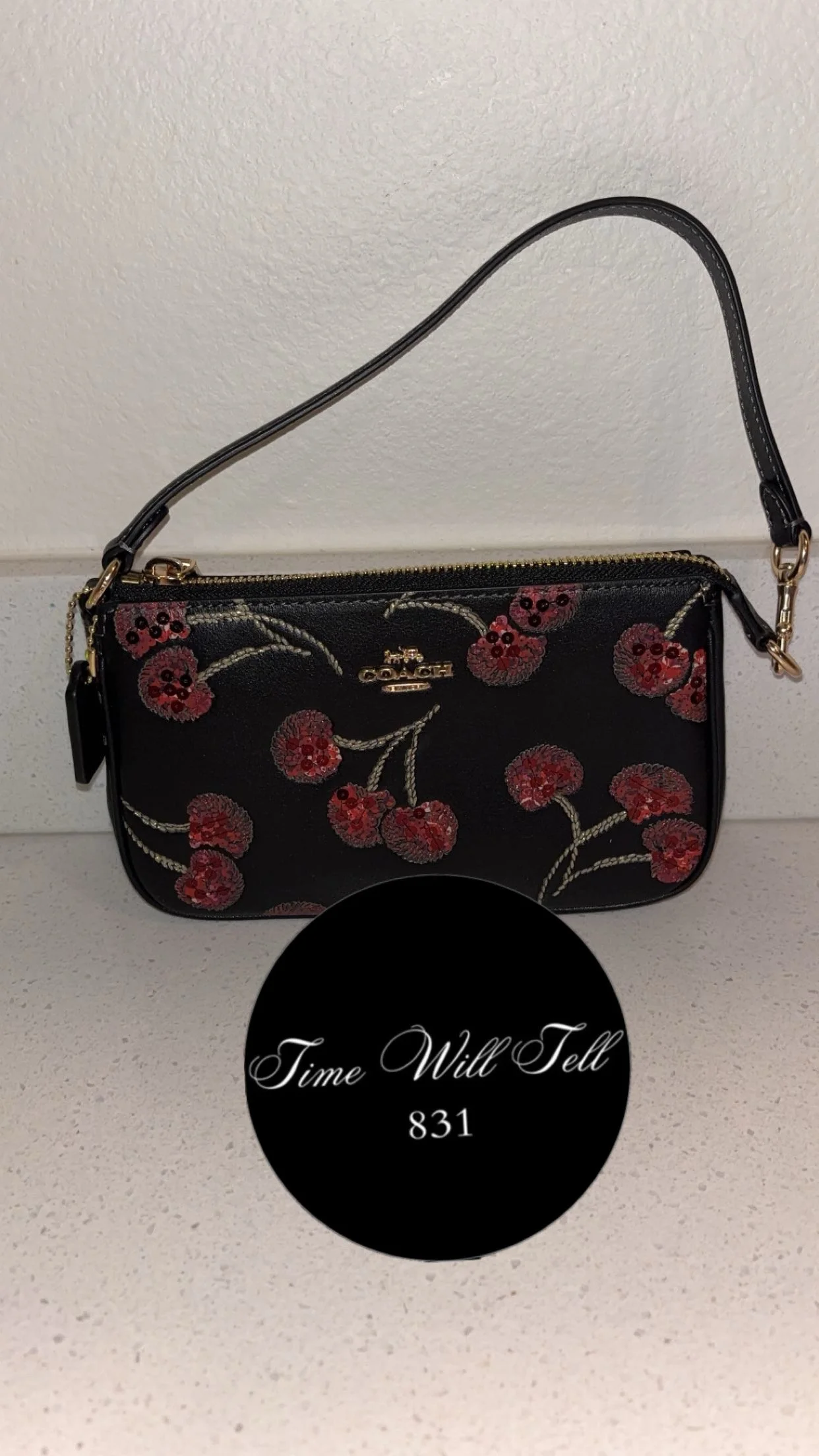 Coach Cherry Nolita 19