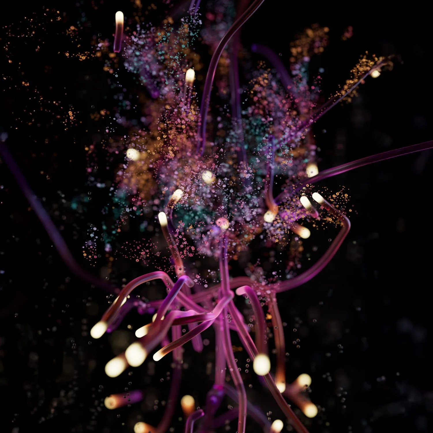 Preview 4 High 2 (00320) quad.jpg