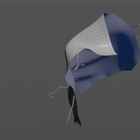 Worms Test ausschnitt 1 quad.webp