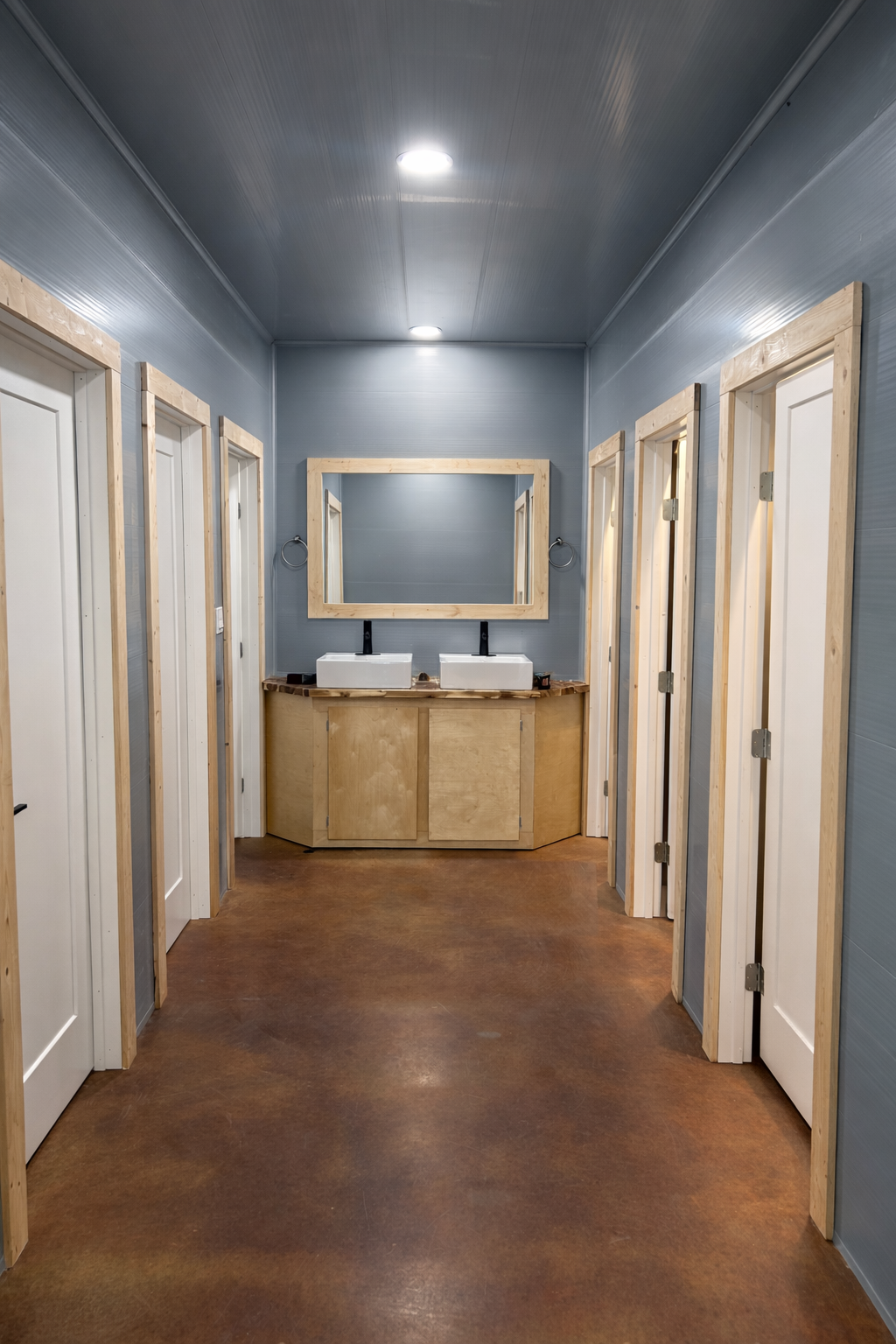 hallway widgeon waterfowl.png