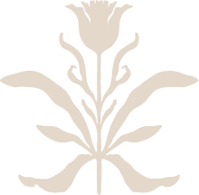 Silhouette of a stylized flower with symmetrical petals and leaves
