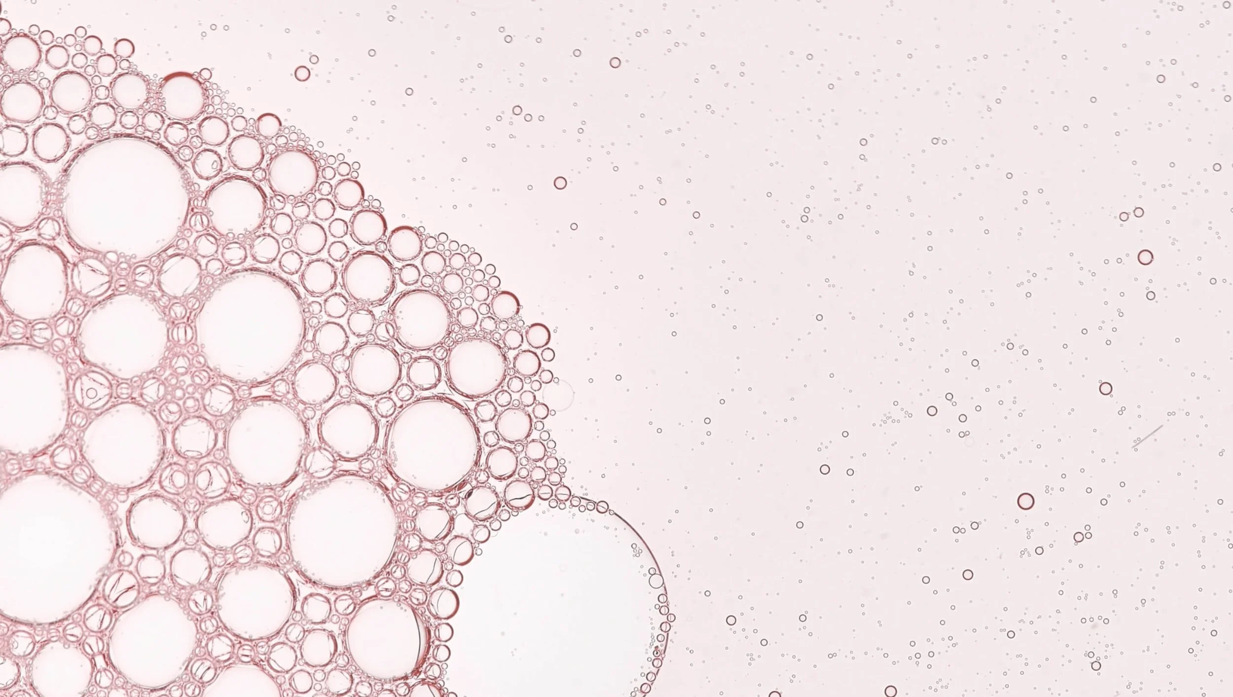 Close-up of soap bubbles in a cluster with many small and large bubbles, on a white background.