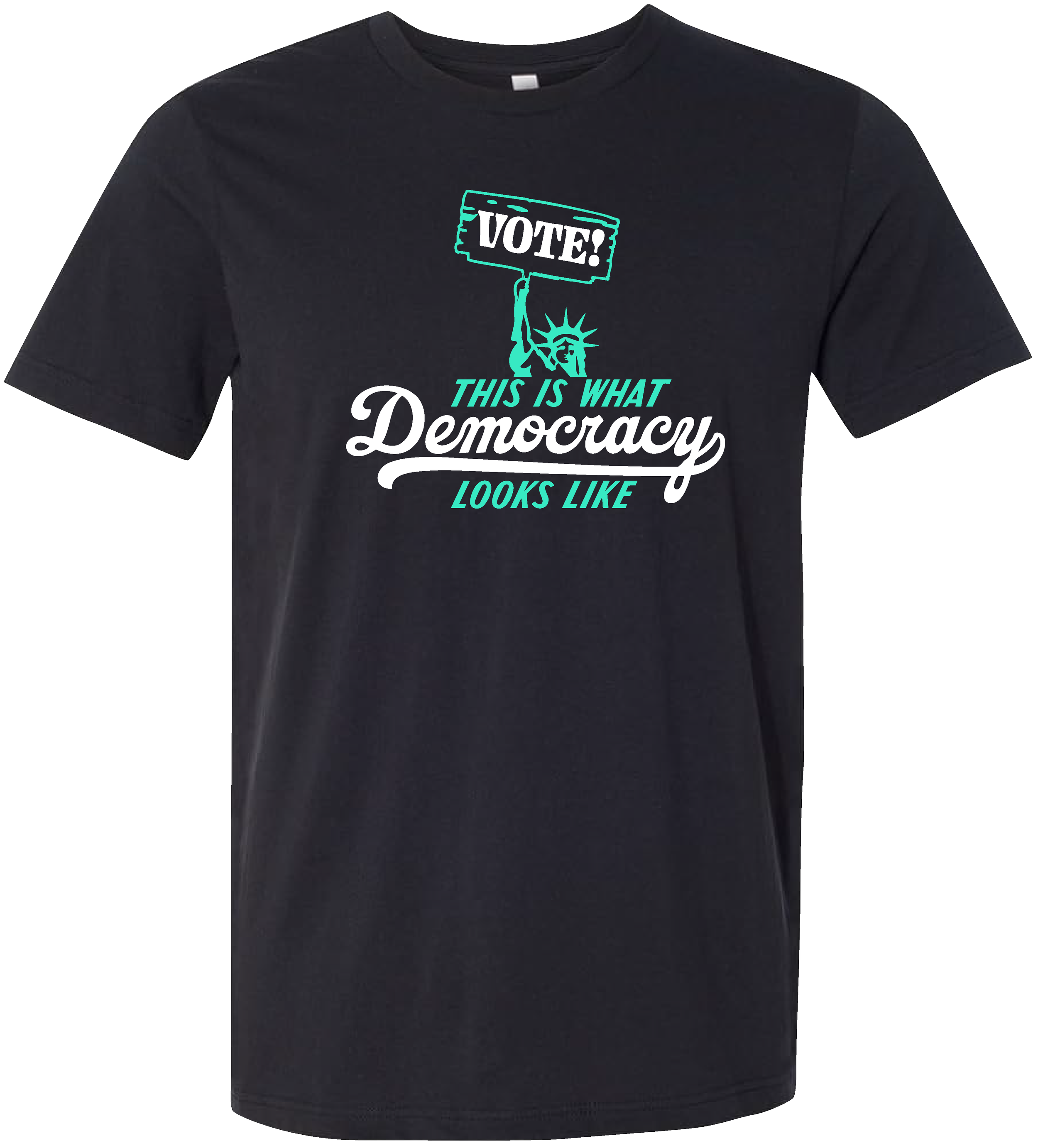 DemocracyLooksLike_Vote.png
