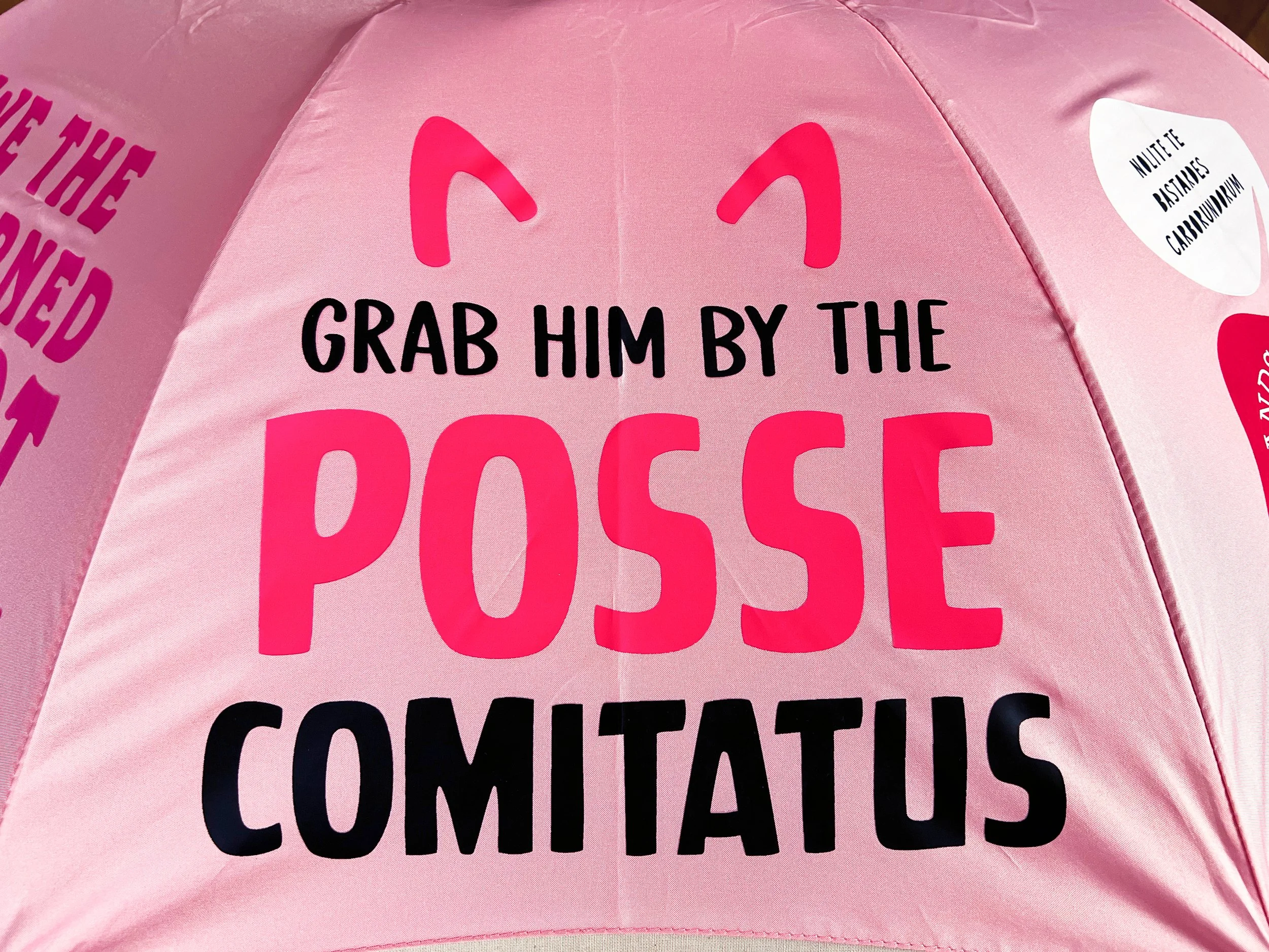 Pink_PosseComitatus.jpg