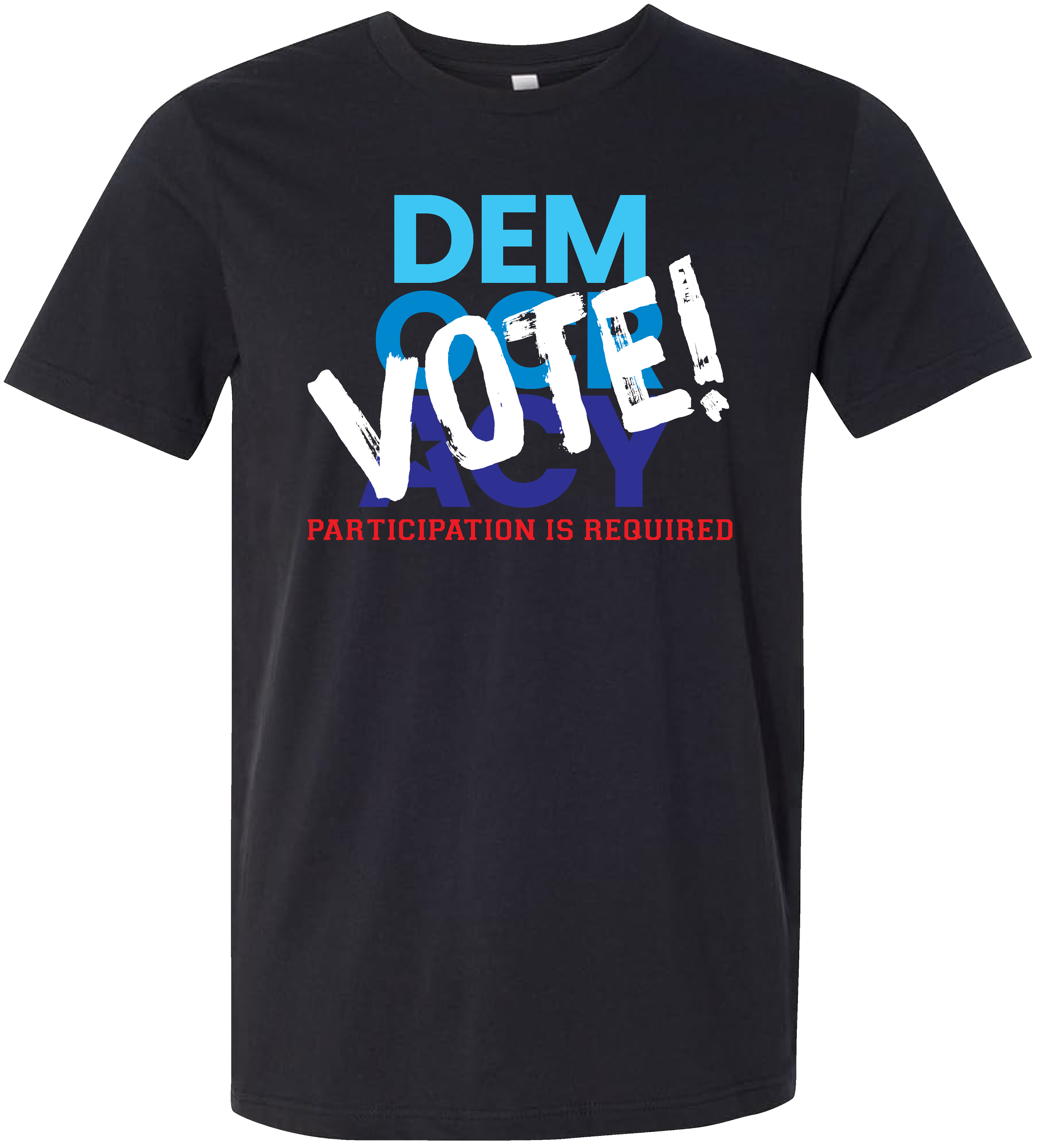 DemocracyParticipation_VOTE.png
