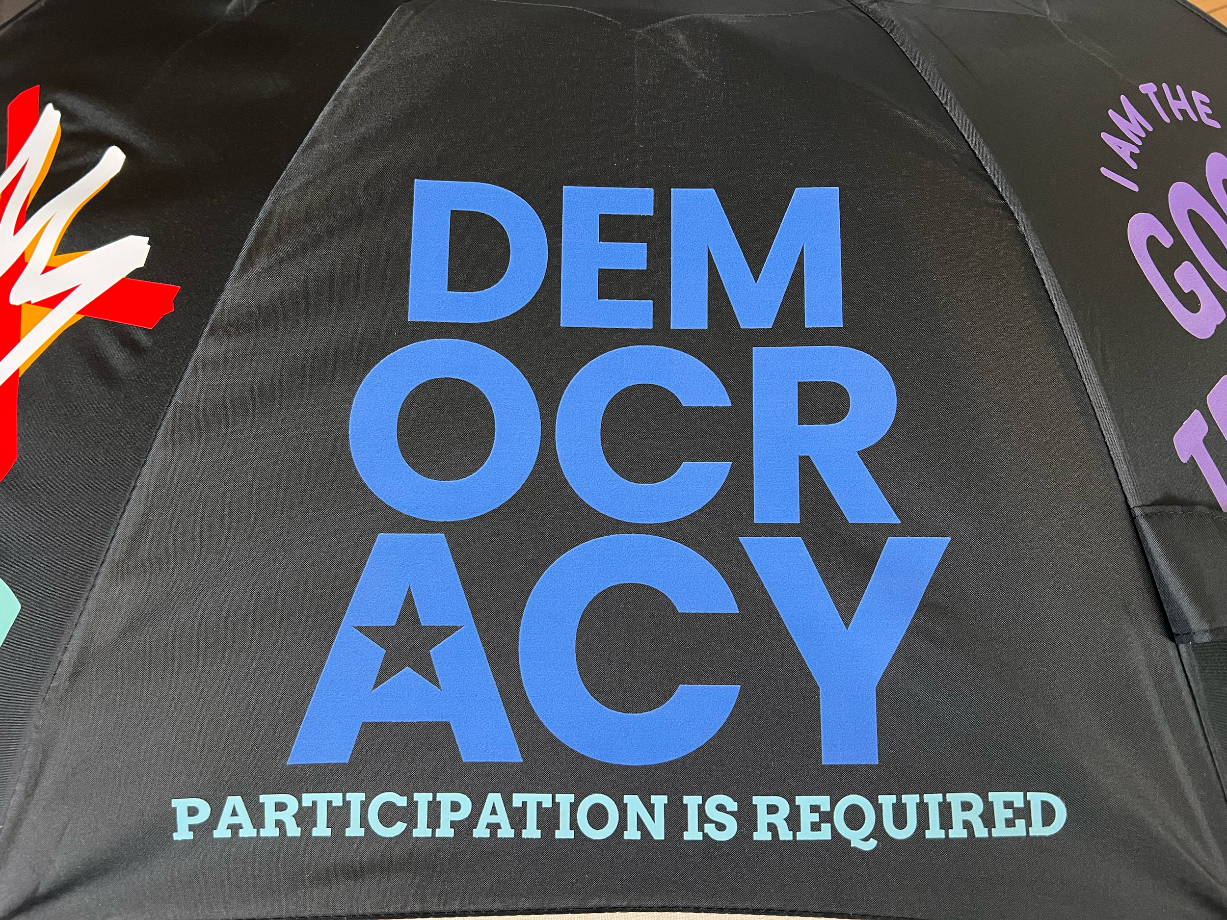 BlackGoodTrouble_Democracy.png