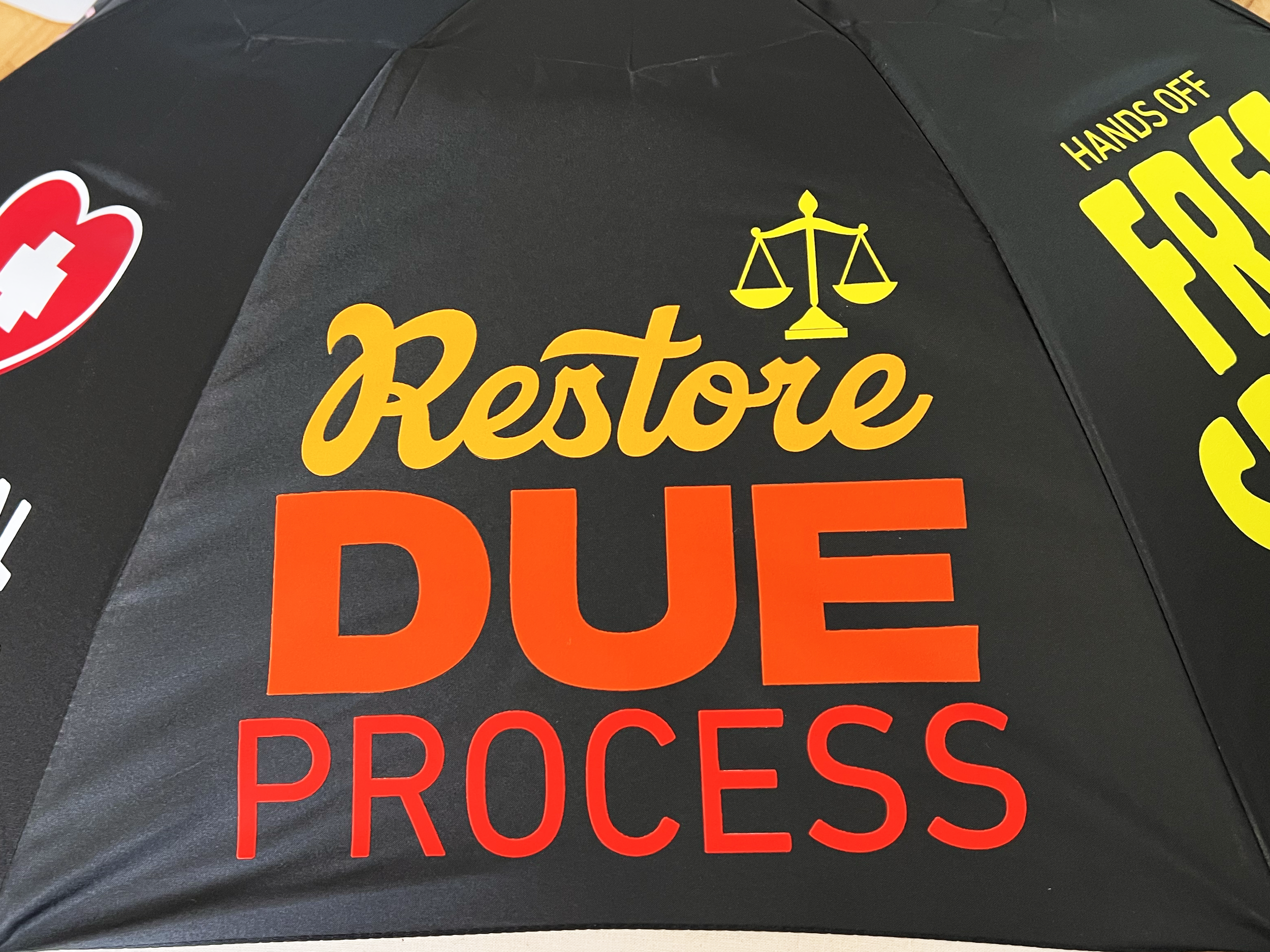 BlackGoodTrouble_DueProcess_01.png