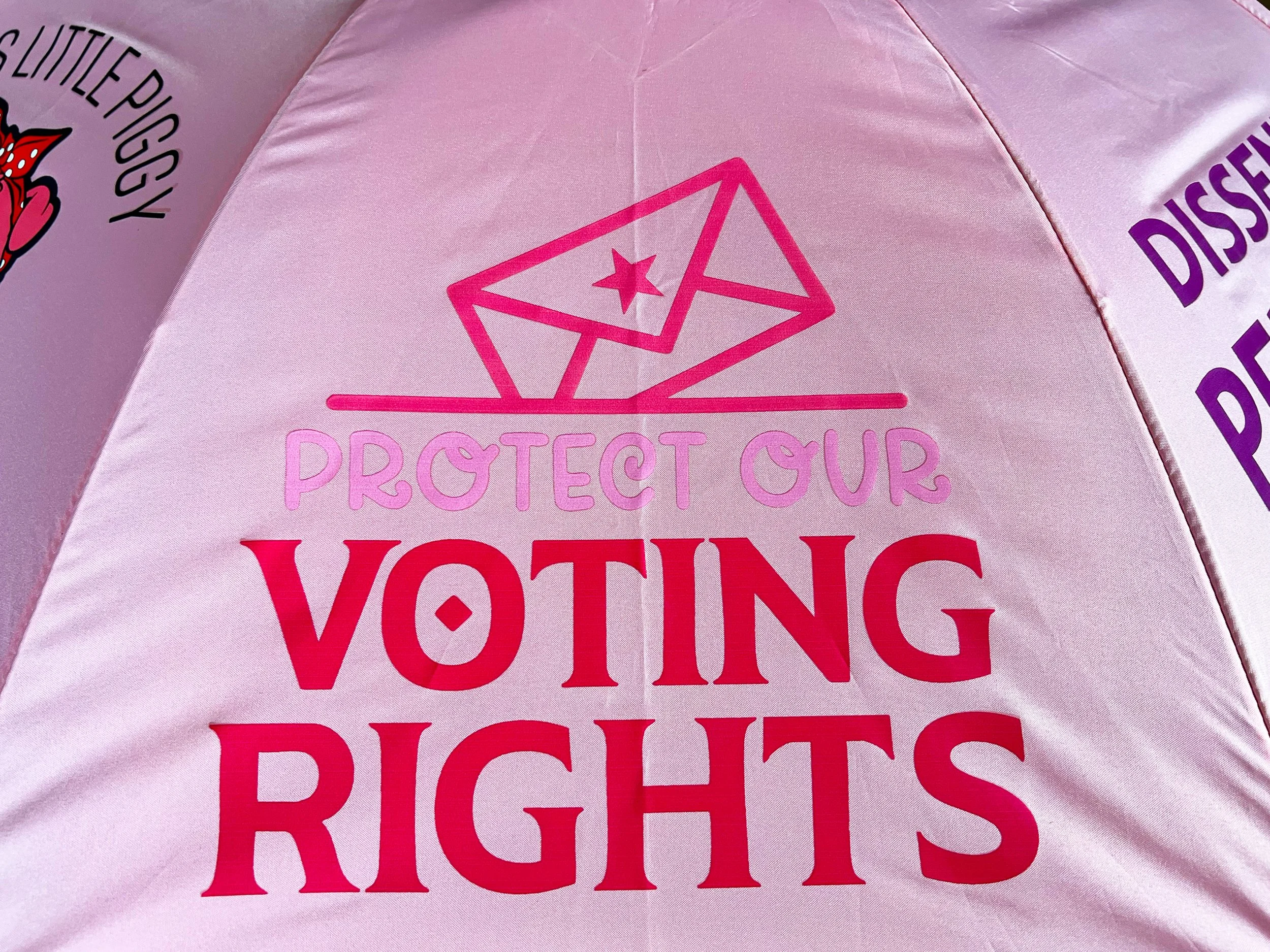 Pink_VotingRights.jpg